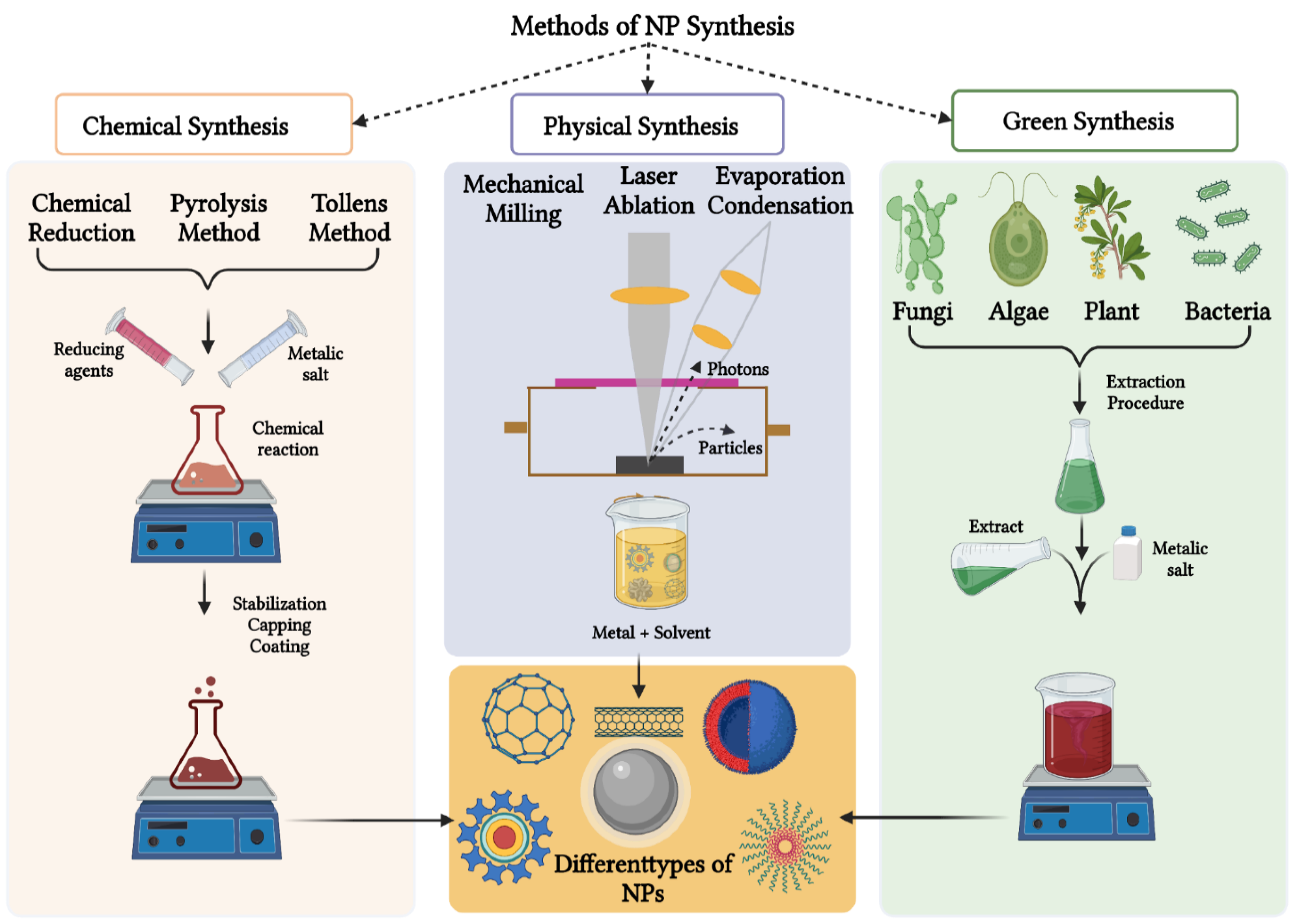 Biomedicines 10 02792 g002