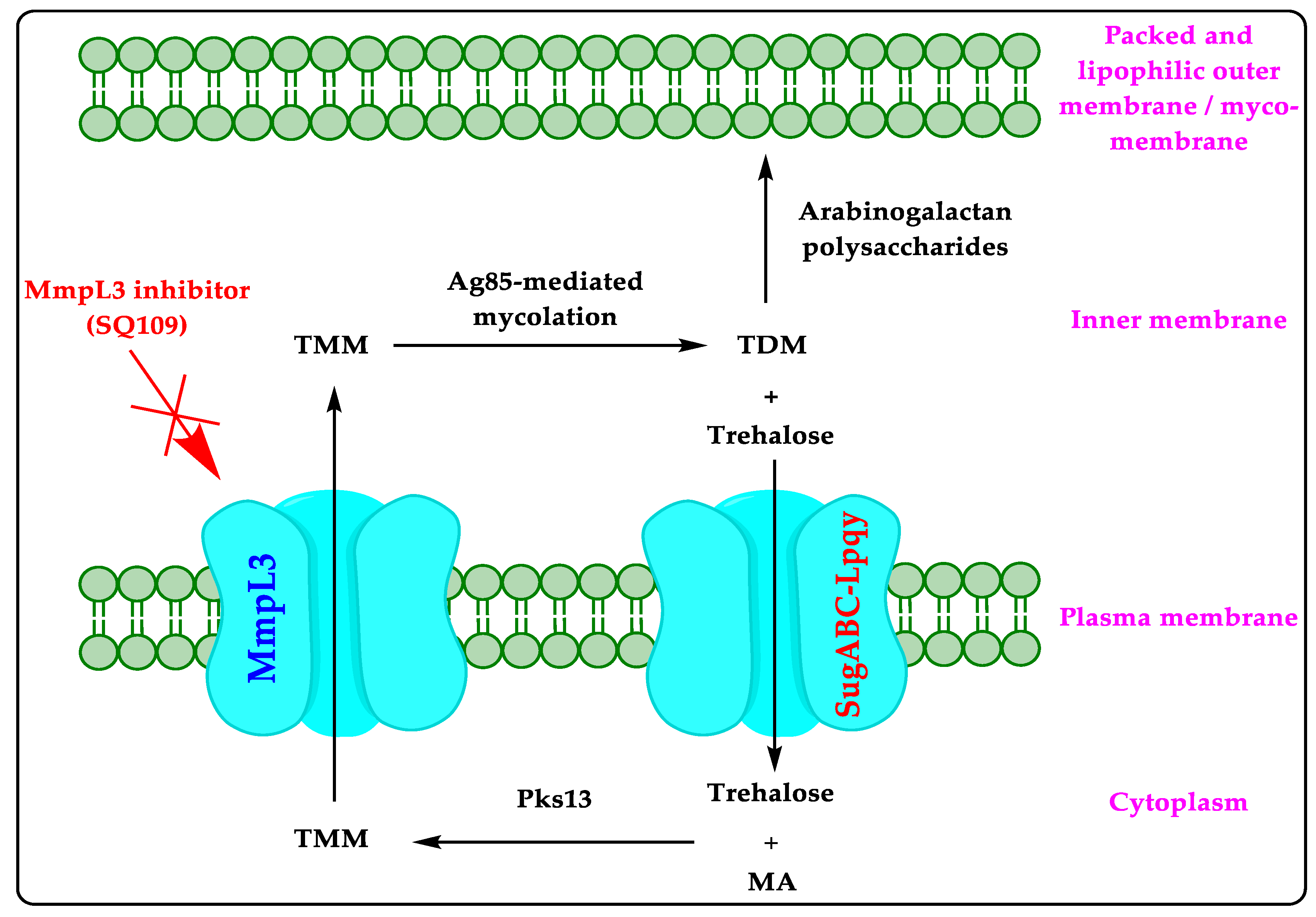 Biomedicines 10 02793 g001 550