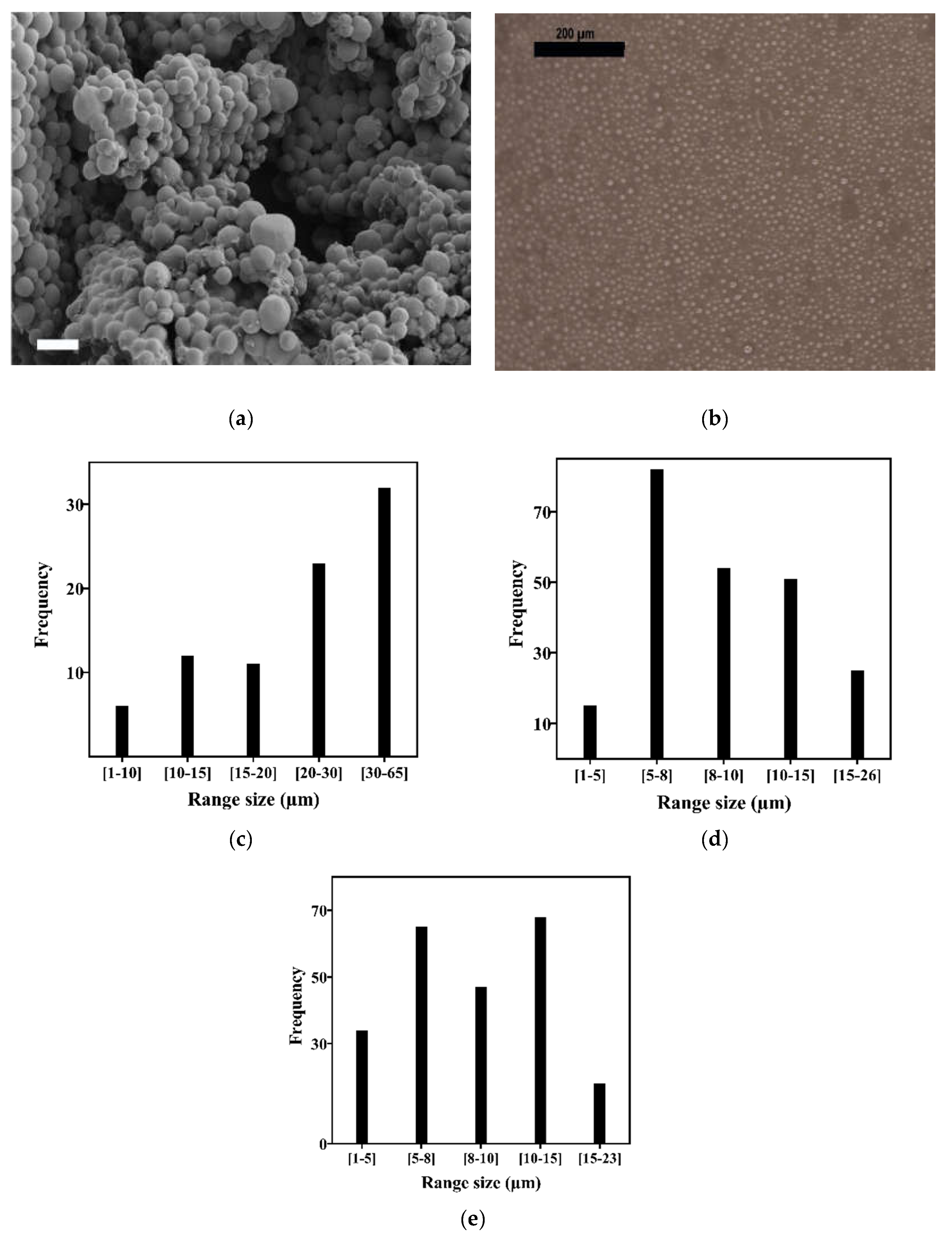 Biomedicines 10 02797 g001 Biomedicines 10 02797 g001