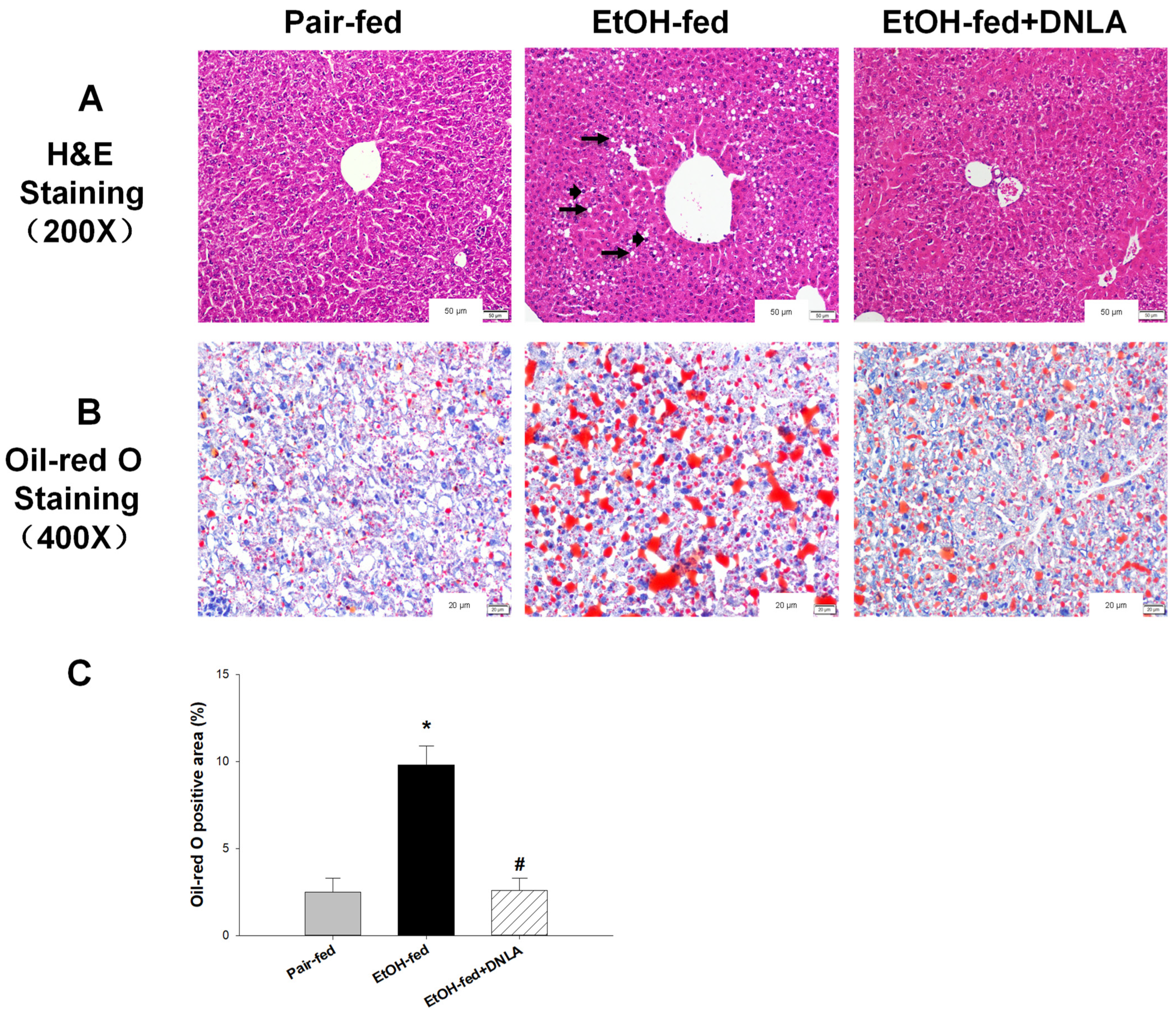 Biomedicines 10 02800 g003 Biomedicines 10 02800 g003