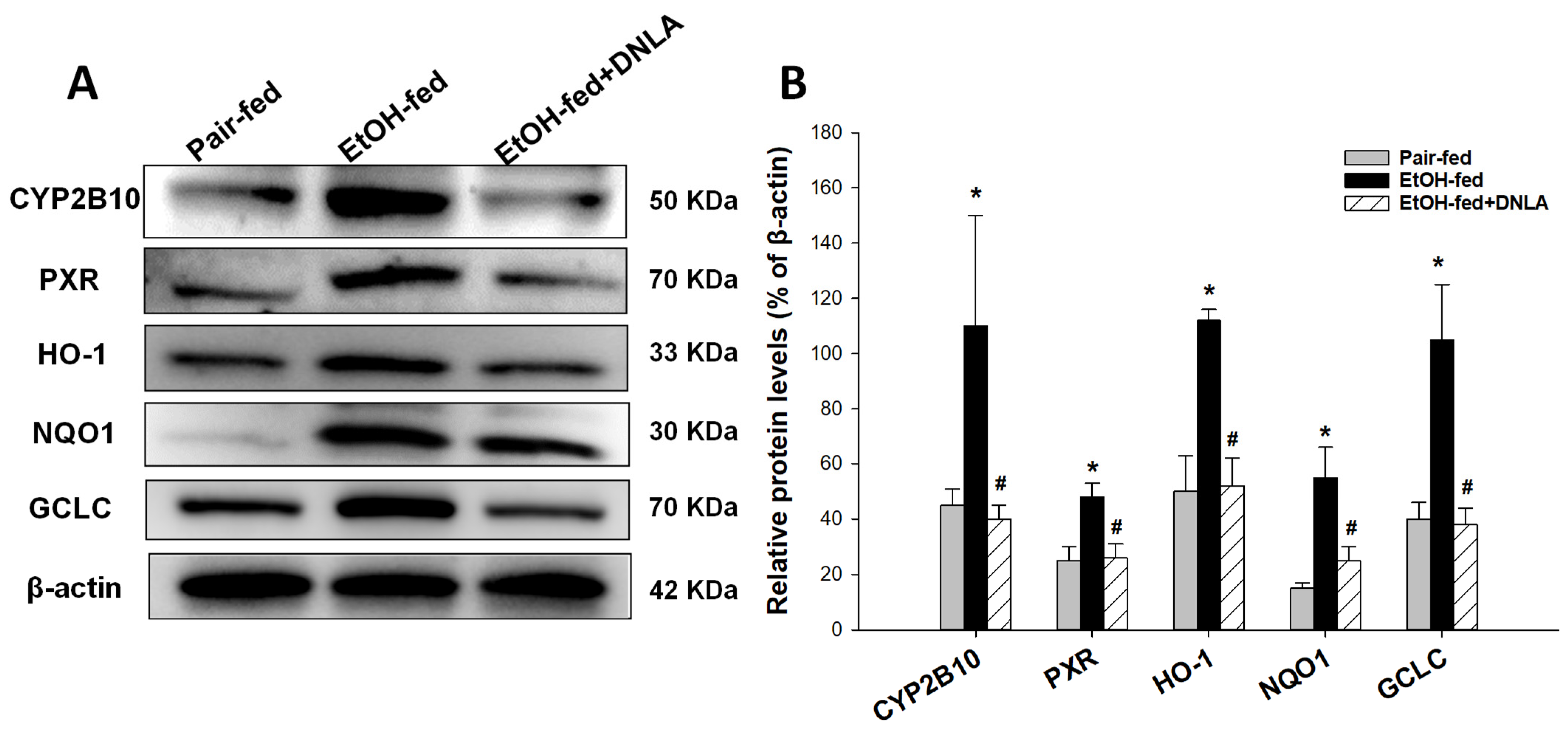 Biomedicines 10 02800 g009 Biomedicines 10 02800 g009
