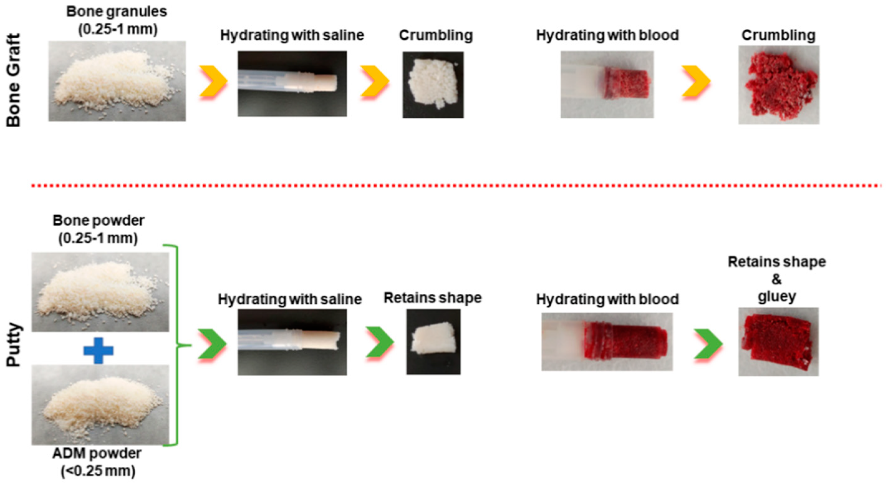 Biomedicines 10 02802 g001