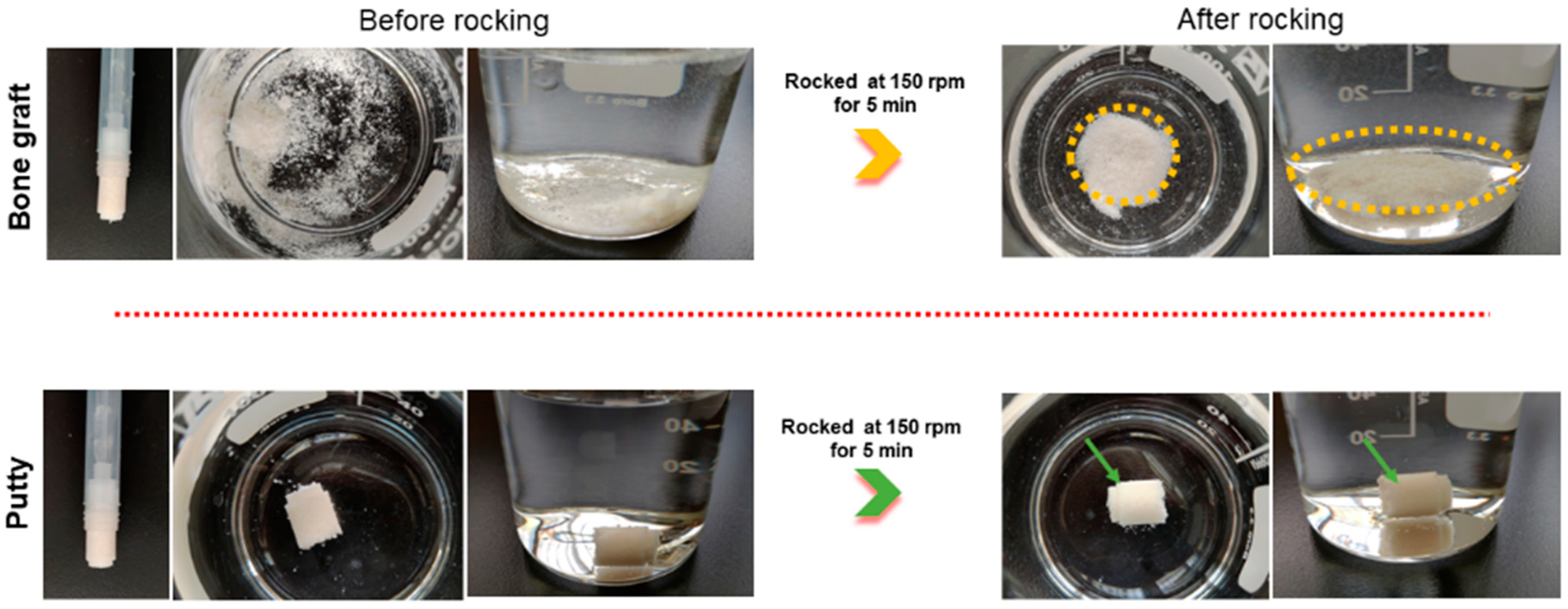 Biomedicines 10 02802 g002