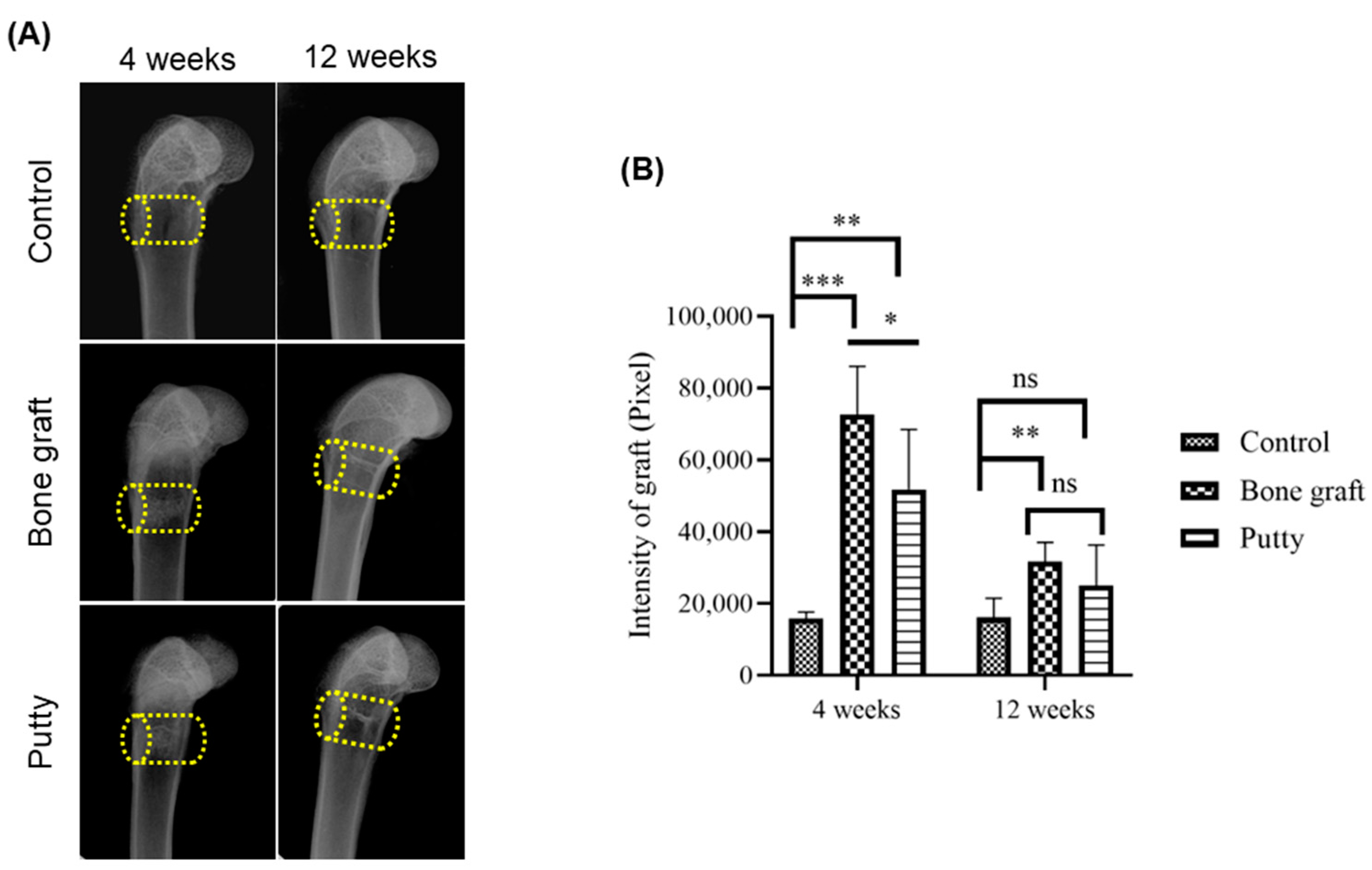 Biomedicines 10 02802 g004