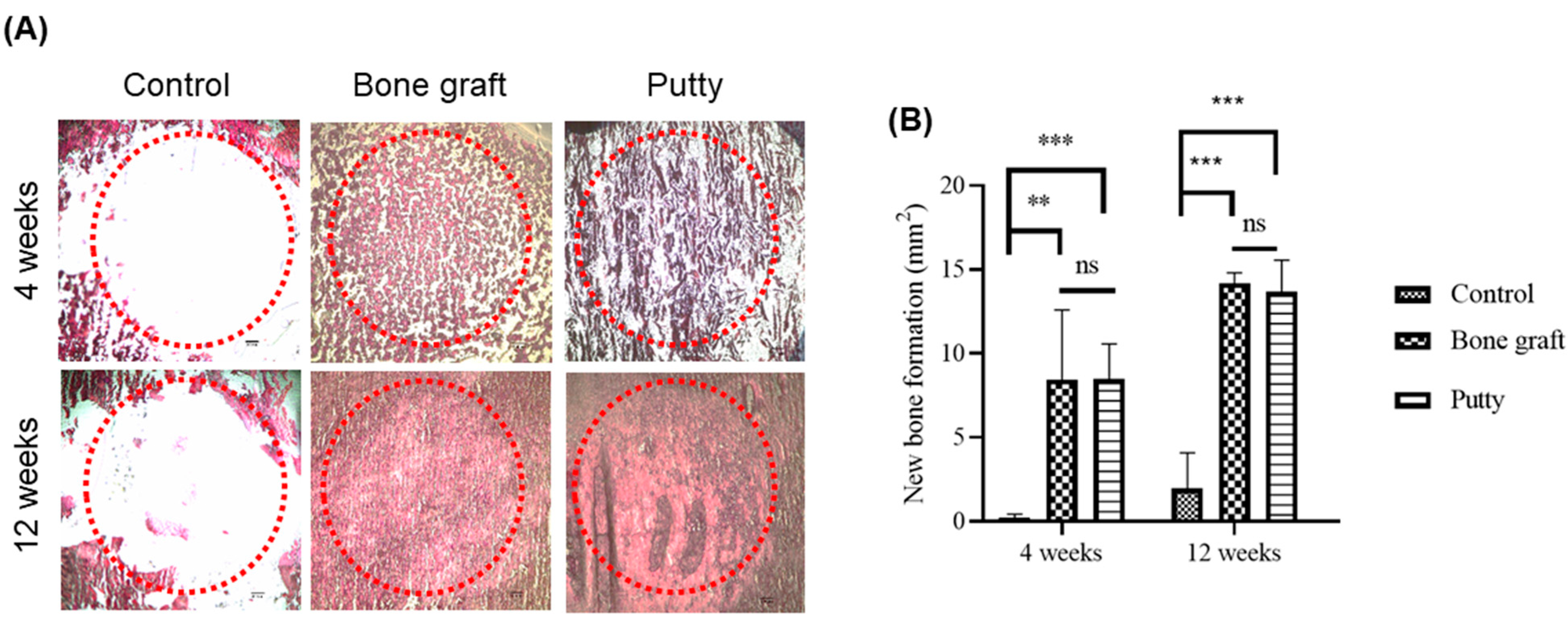 Biomedicines 10 02802 g008