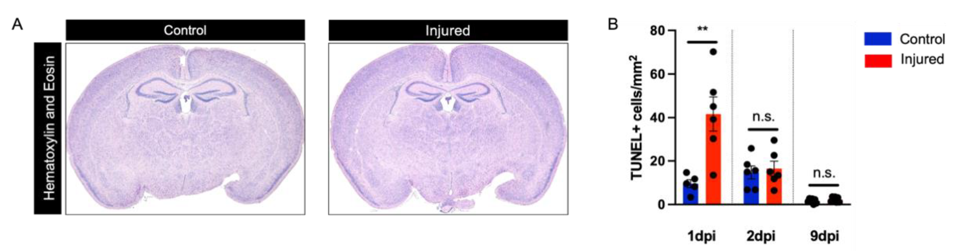 Biomedicines 10 02810 g002