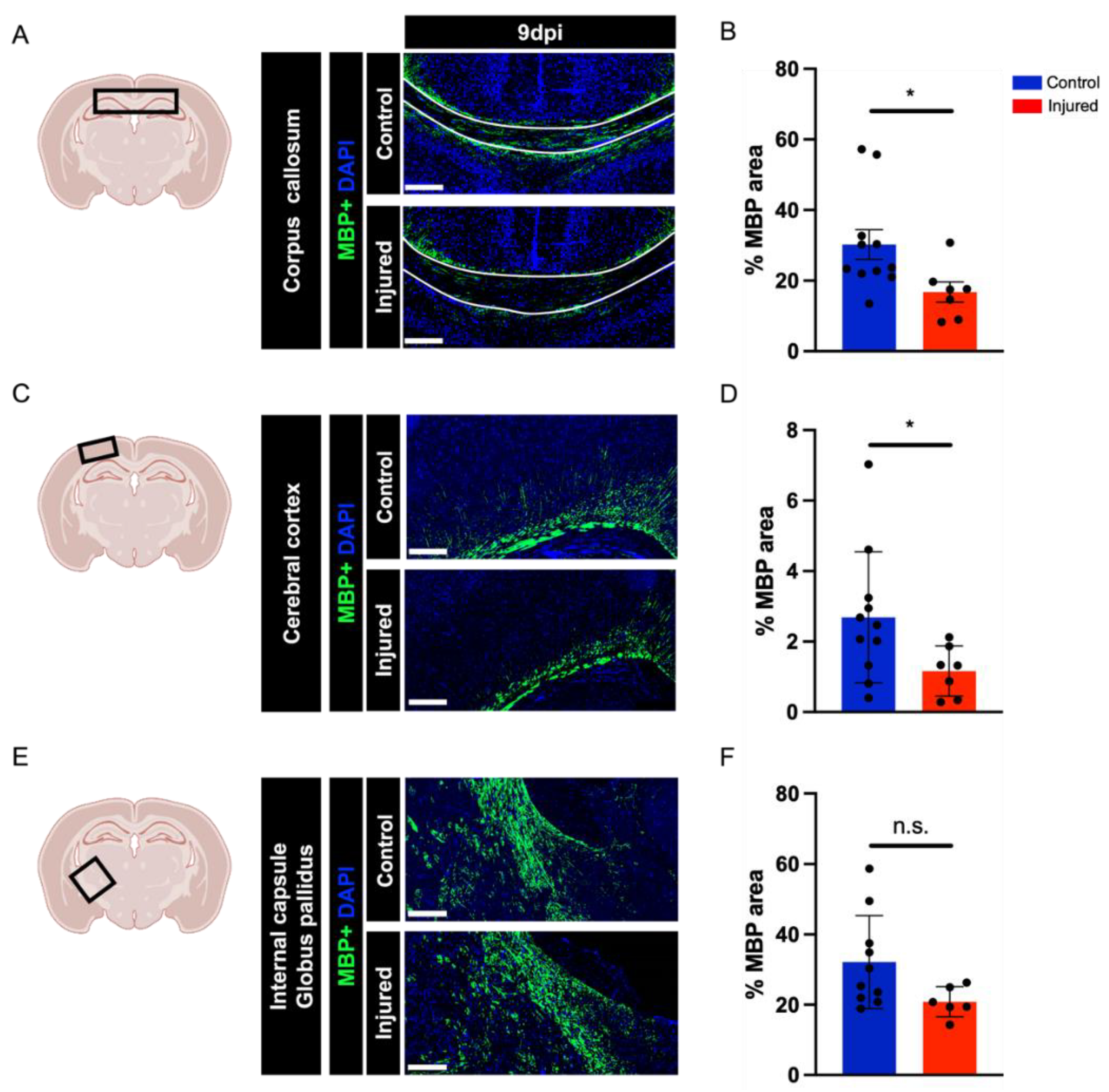 Biomedicines 10 02810 g003