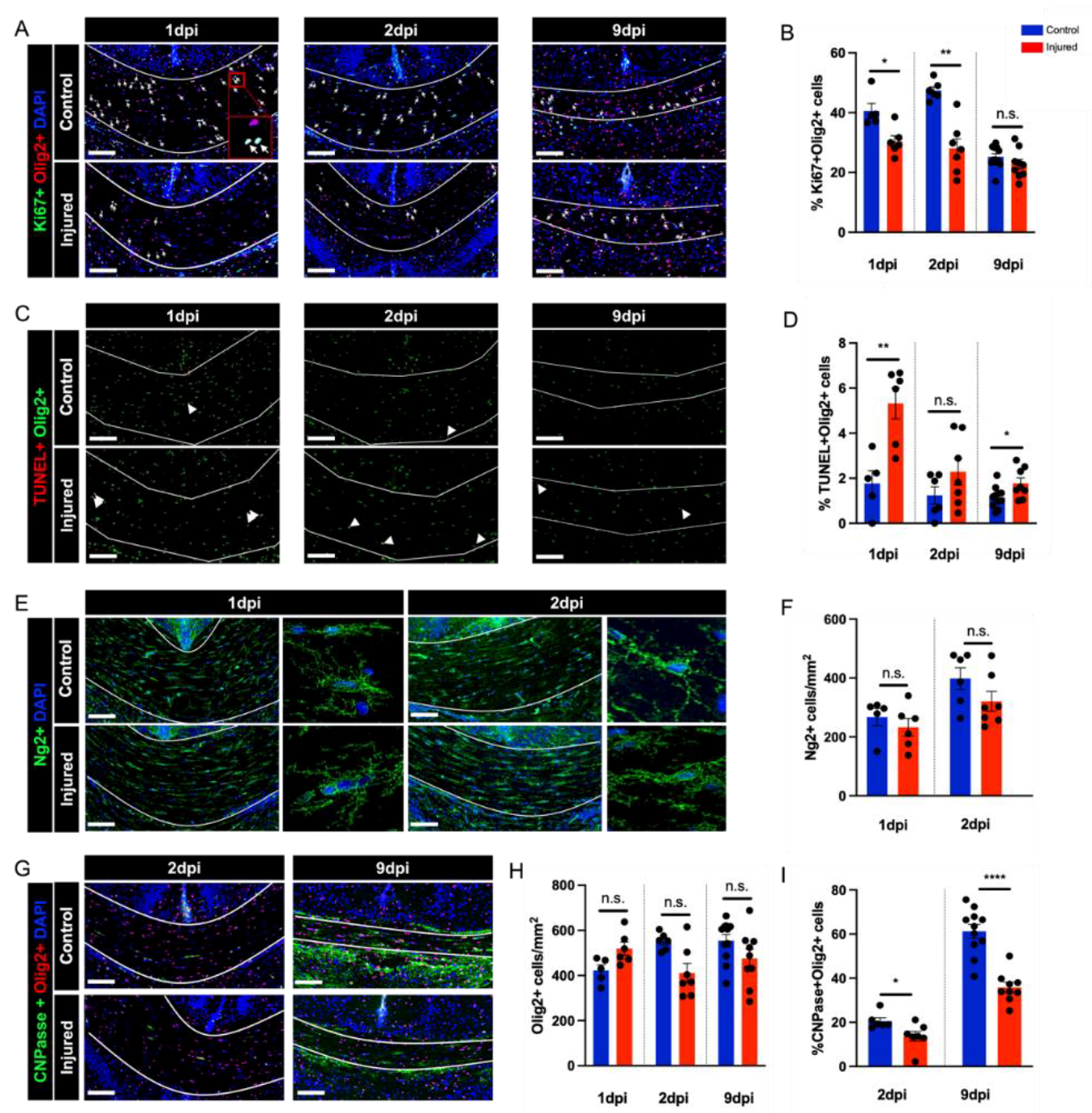 Biomedicines 10 02810 g004