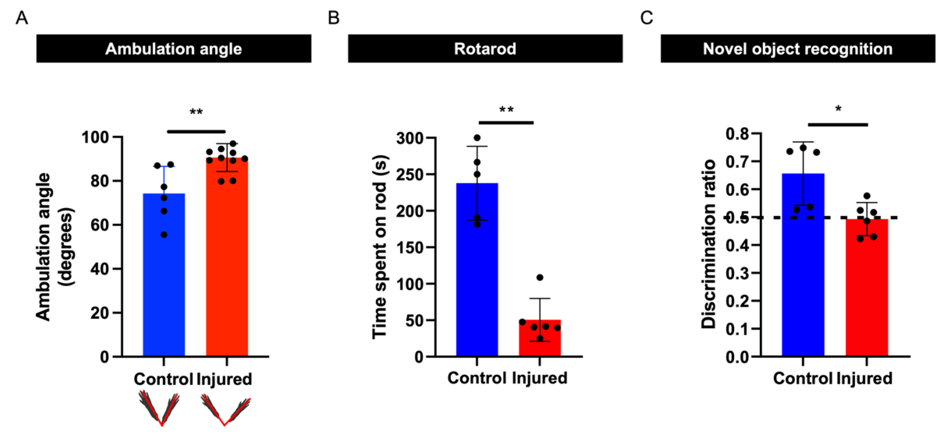Biomedicines 10 02810 g006