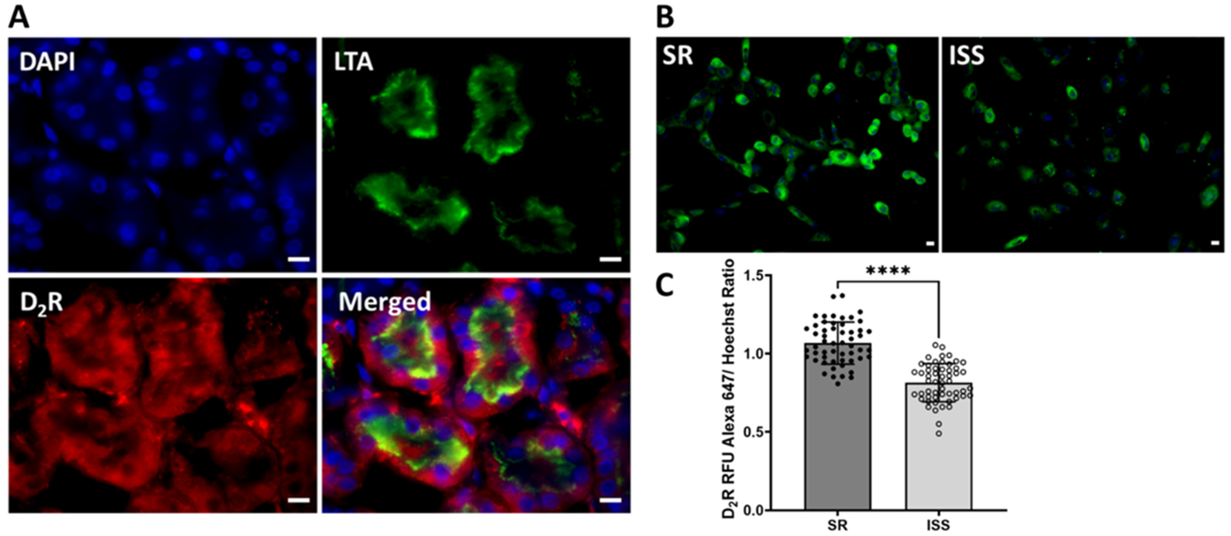 Biomedicines 10 02811 g002