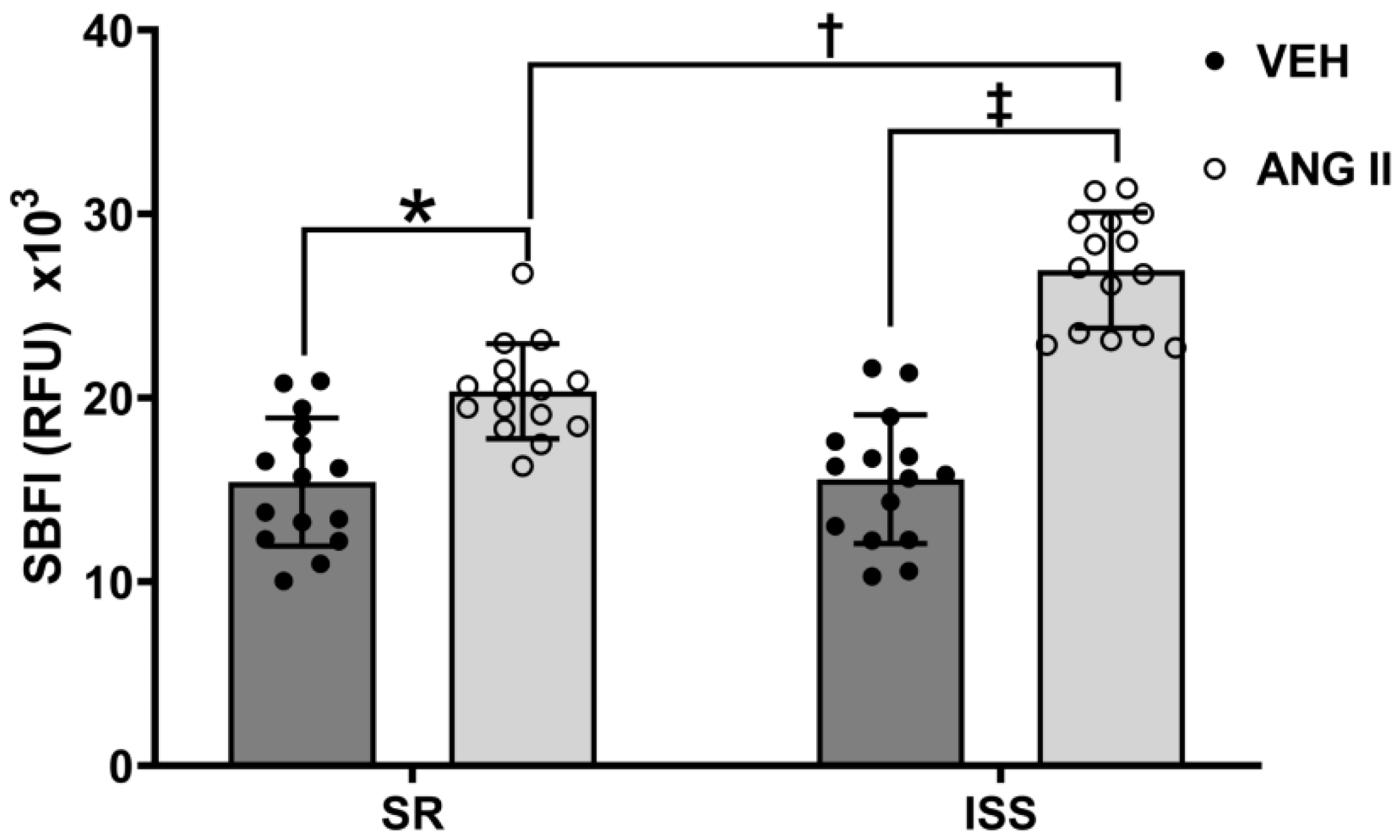 Biomedicines 10 02811 g004