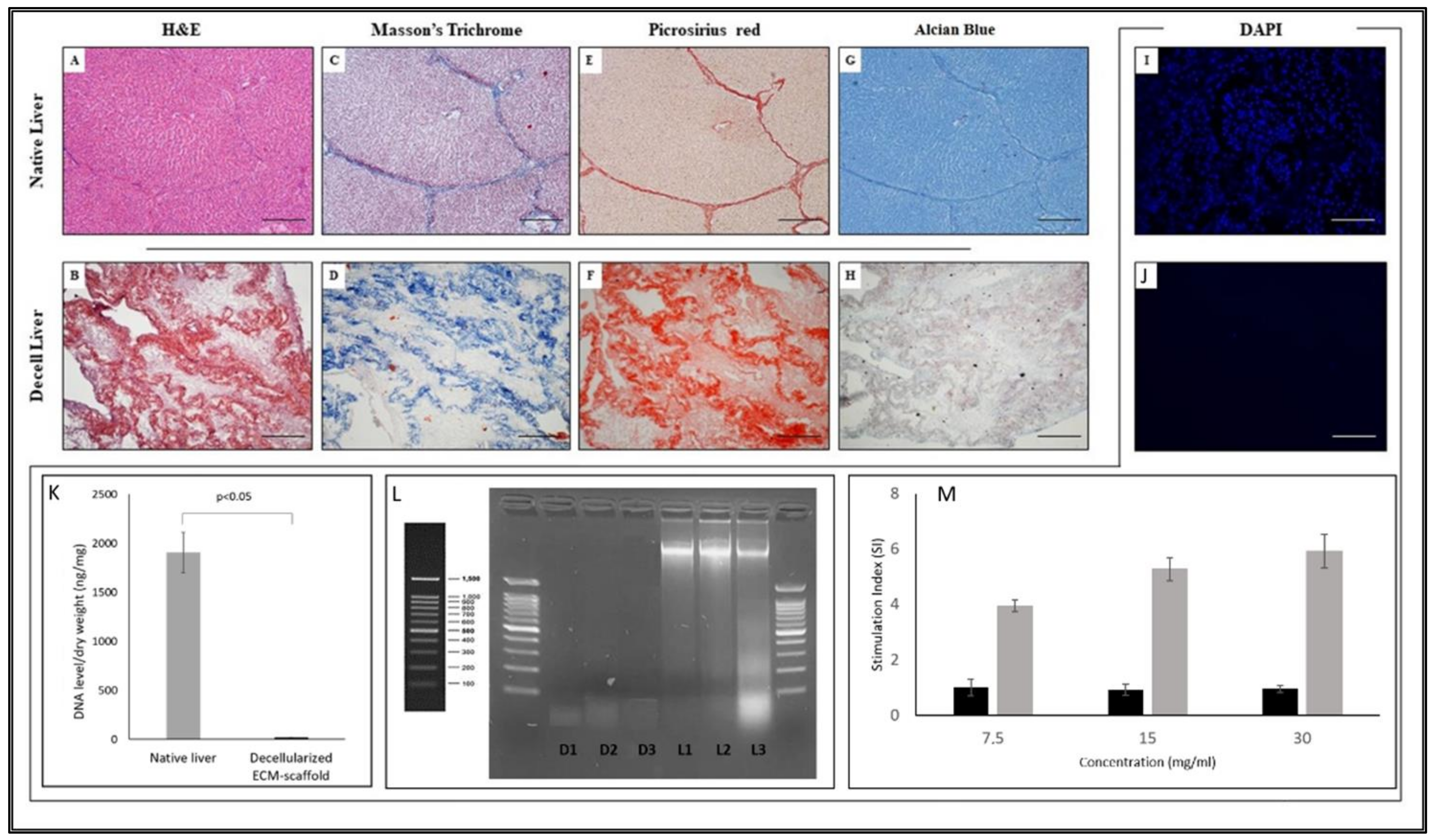 Biomedicines 10 02817 g002