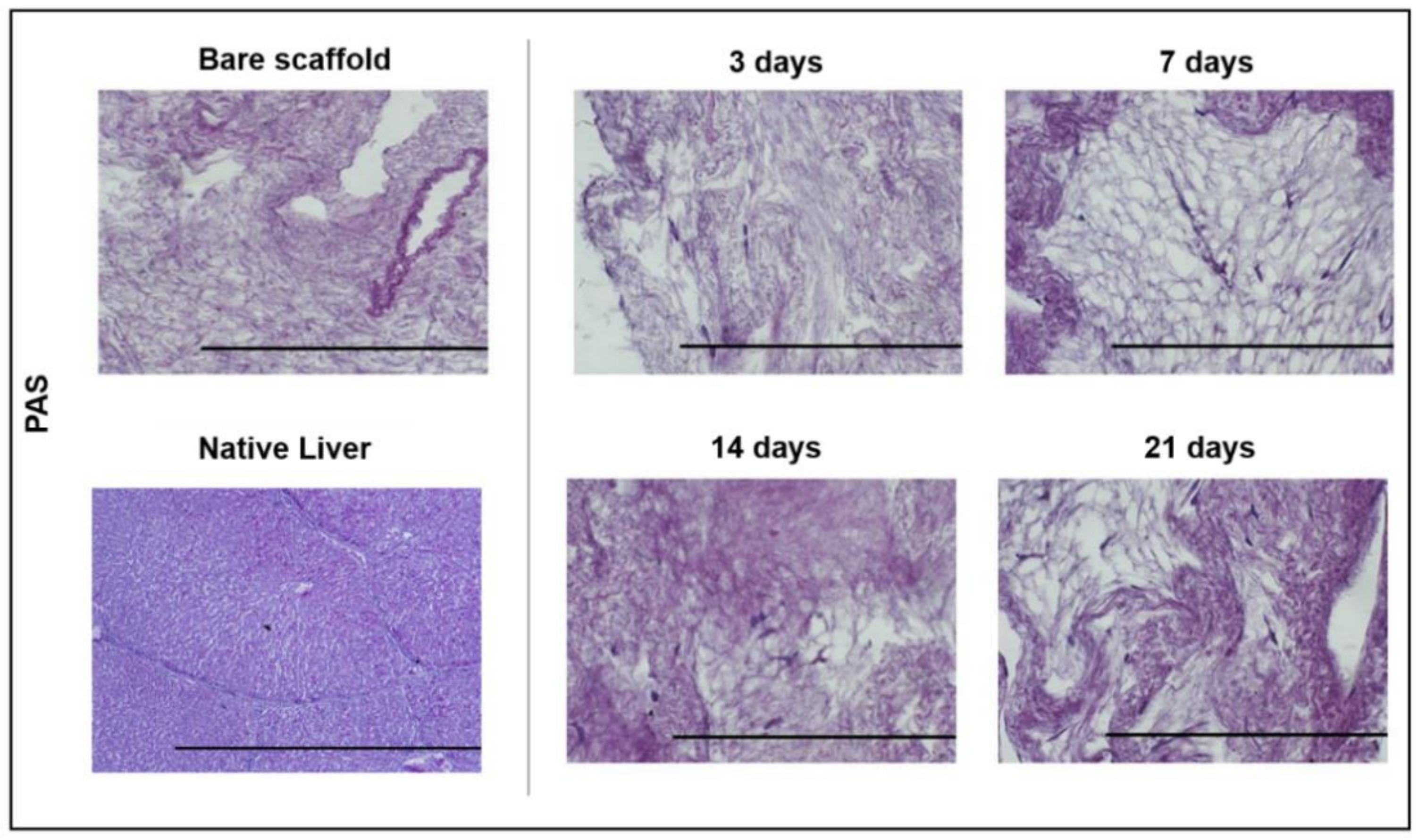 Biomedicines 10 02817 g006