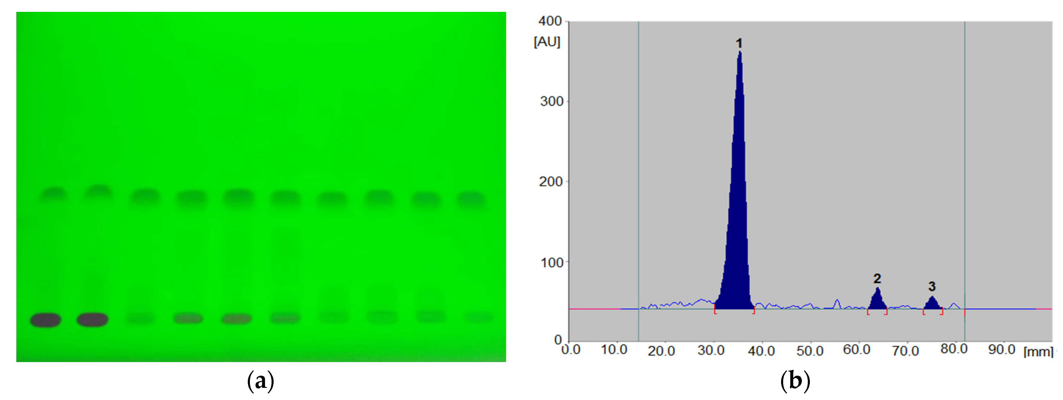 Biomedicines 10 02821 g004