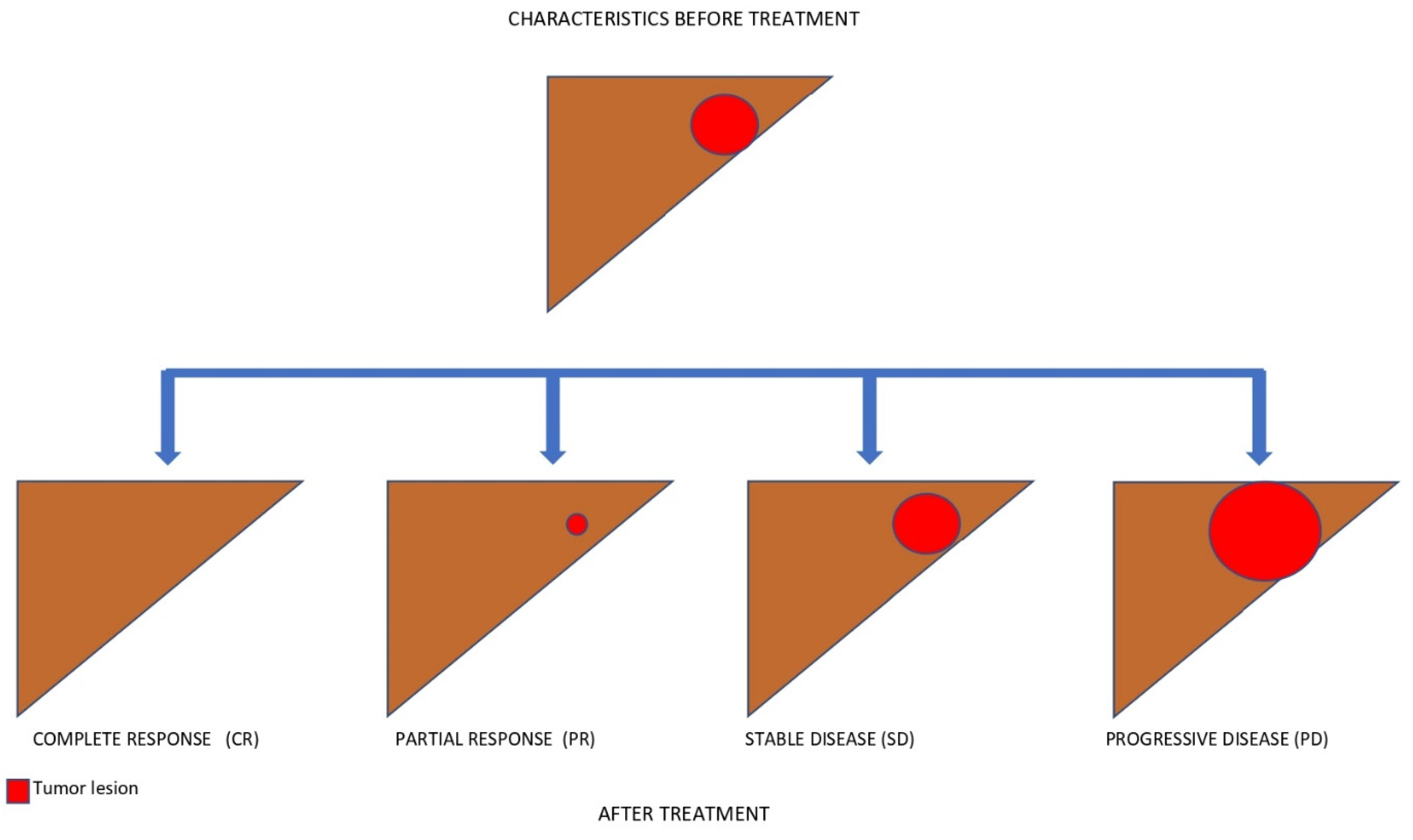 Biomedicines 10 02827 g004 Biomedicines 10 02827 g004