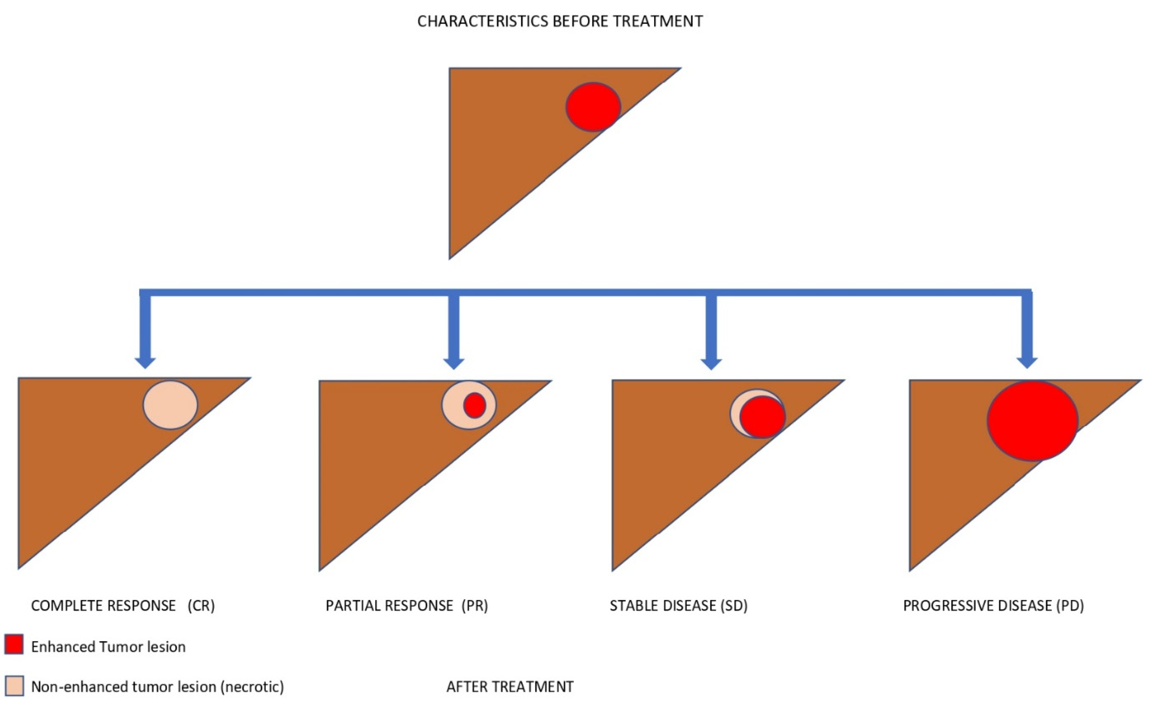 Biomedicines 10 02827 g005 Biomedicines 10 02827 g005