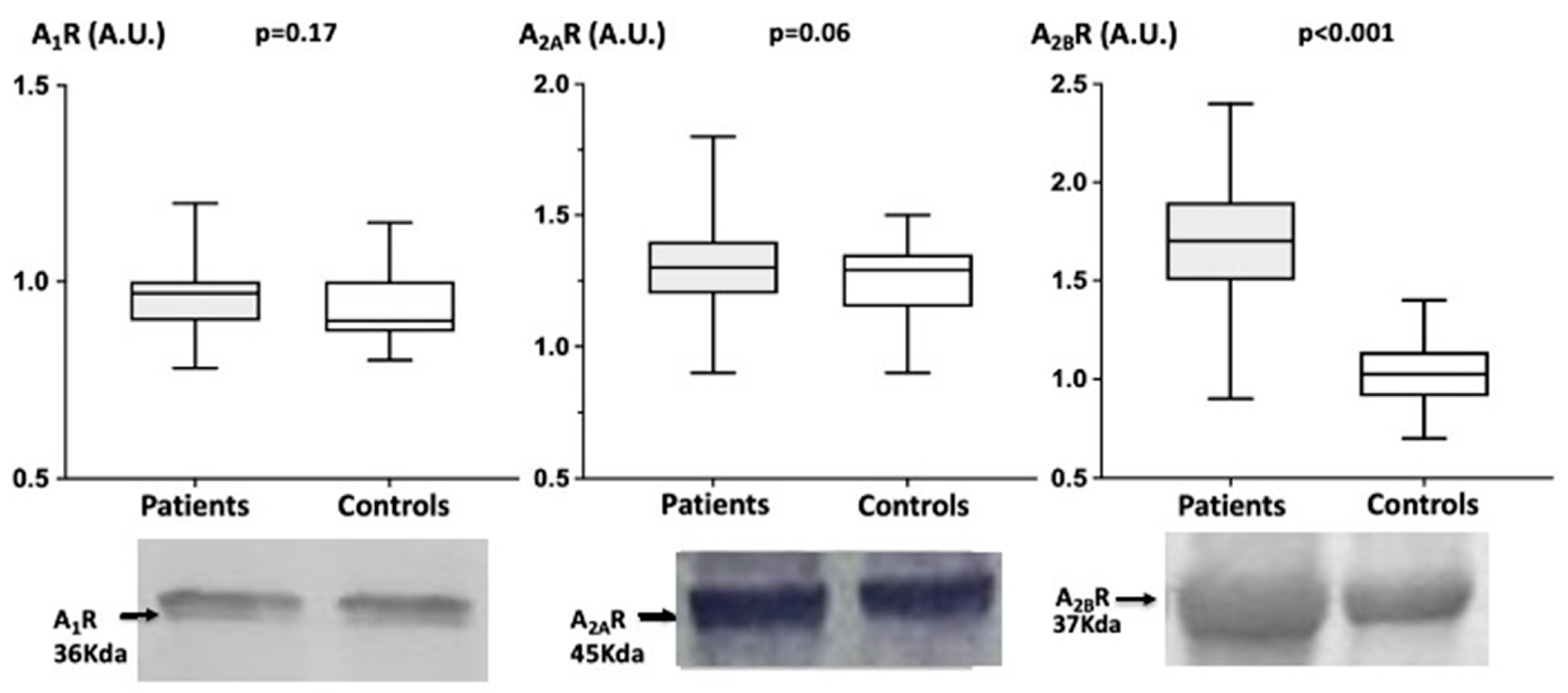 Biomedicines 10 02831 g002