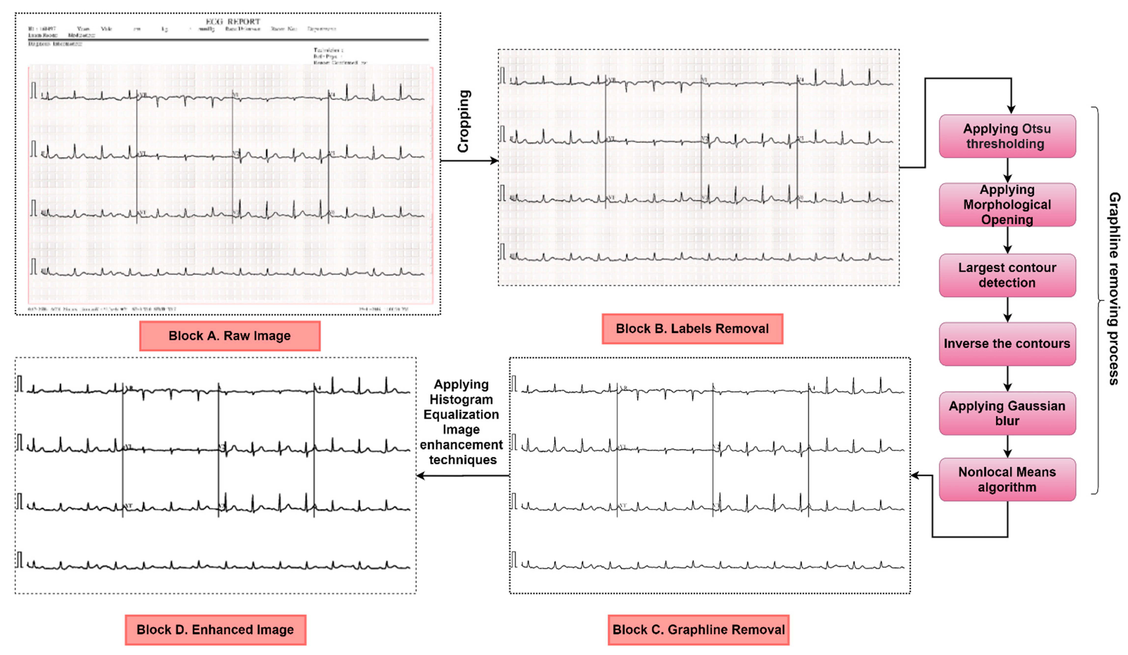 Biomedicines 10 02835 g004 Biomedicines 10 02835 g004