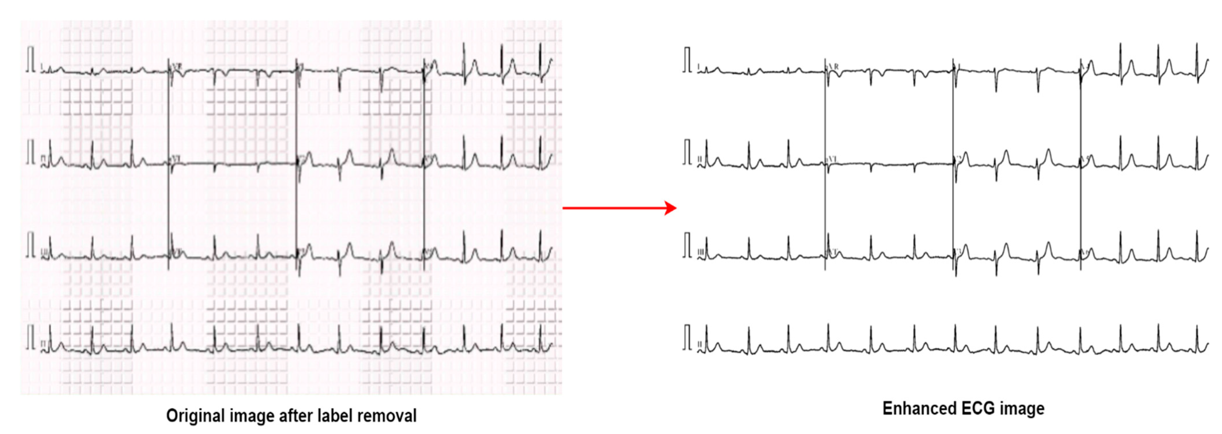 Biomedicines 10 02835 g008 Biomedicines 10 02835 g008