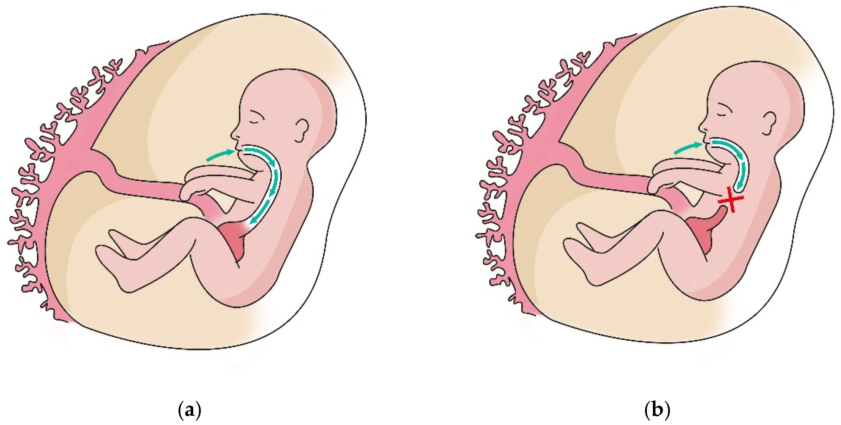 Biomedicines 10 02836 g001