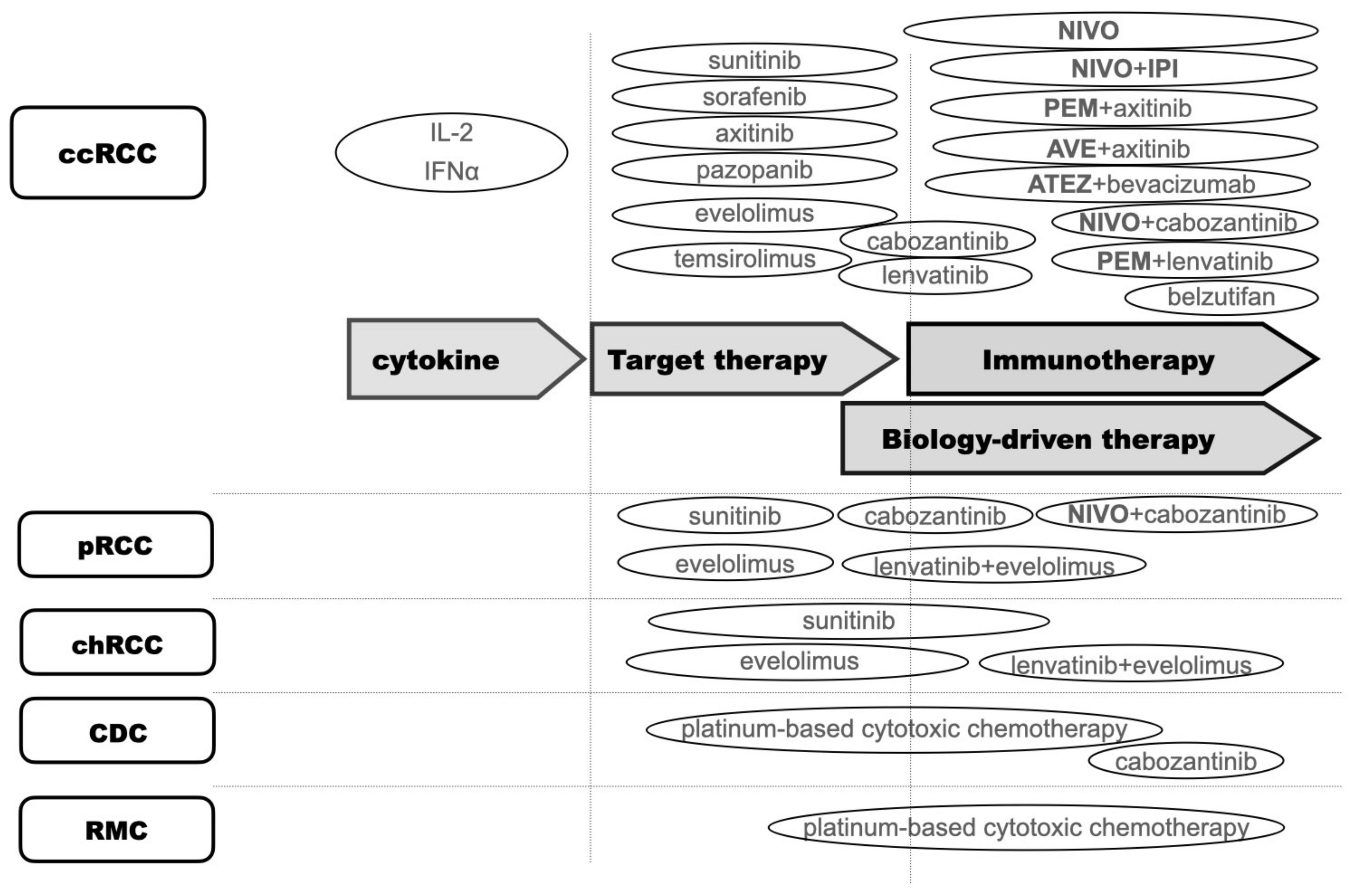 Biomedicines 10 02840 g001