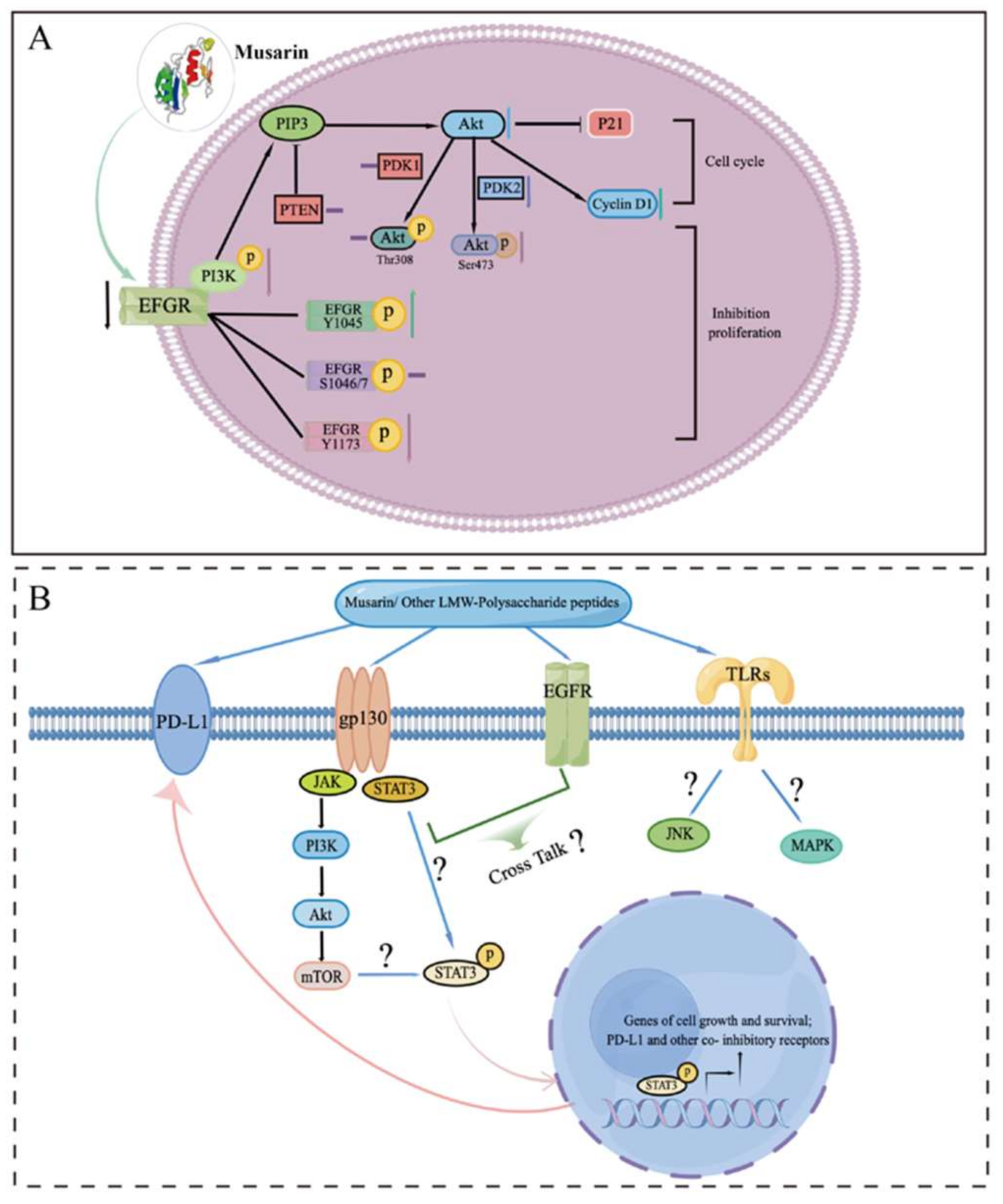 Biomedicines 10 02841 g001