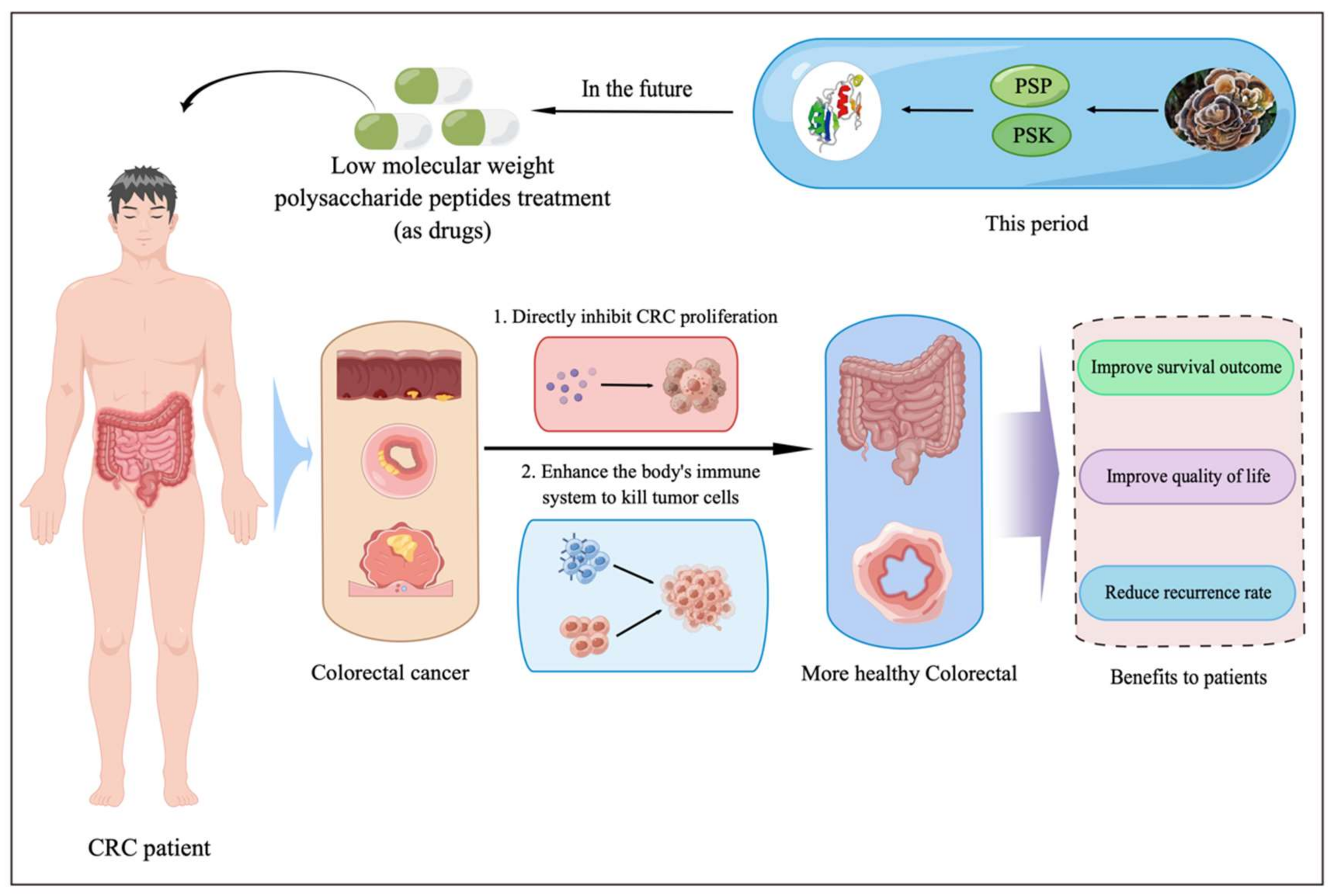Biomedicines 10 02841 g002