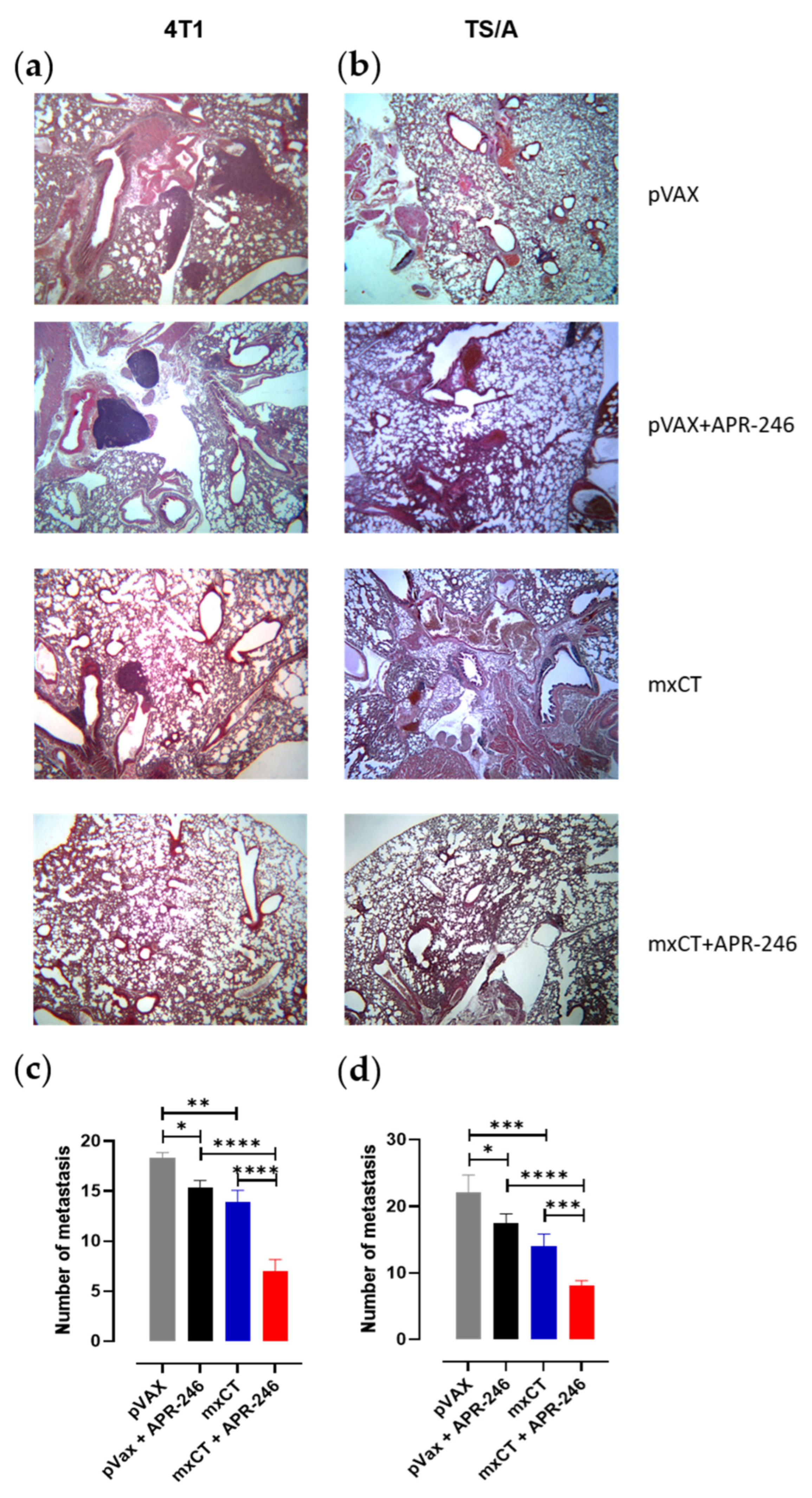 Biomedicines 10 02843 g005