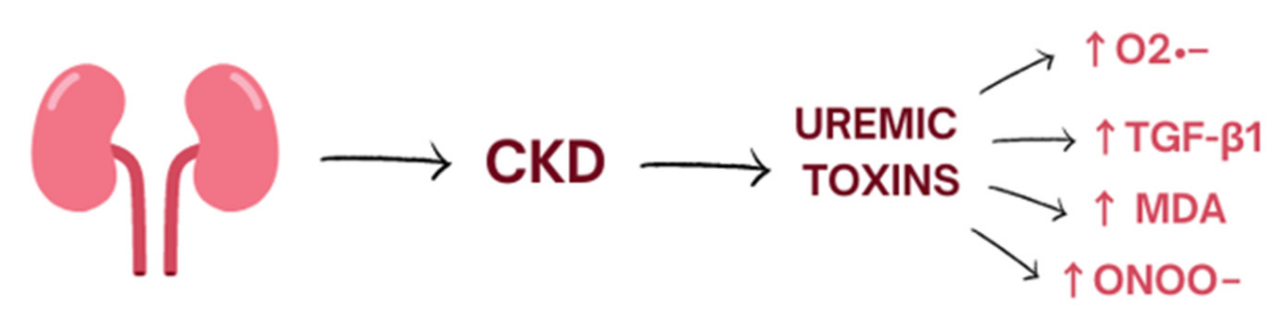 Biomedicines 10 02846 g001 Biomedicines 10 02846 g001
