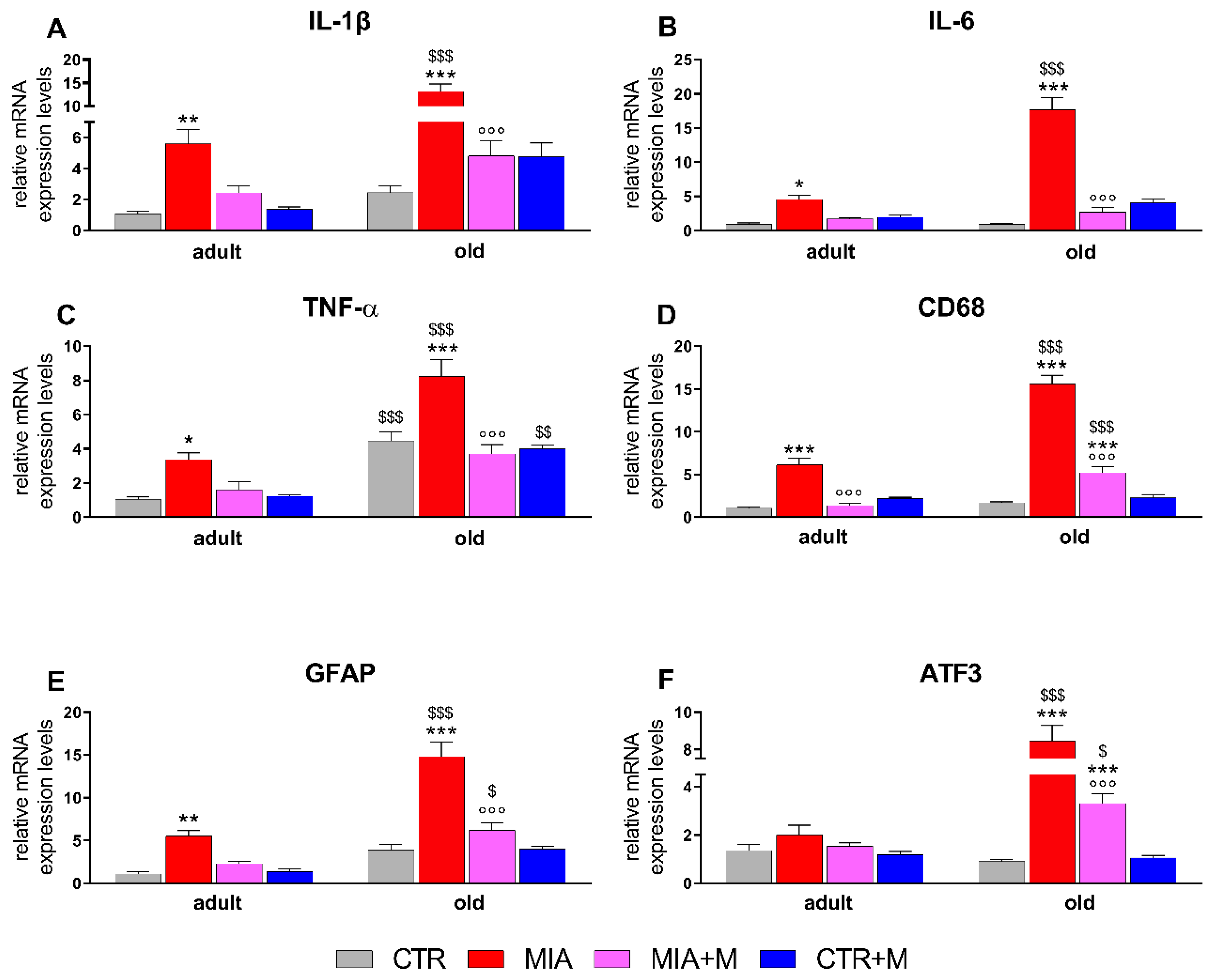 Biomedicines 10 02847 g004