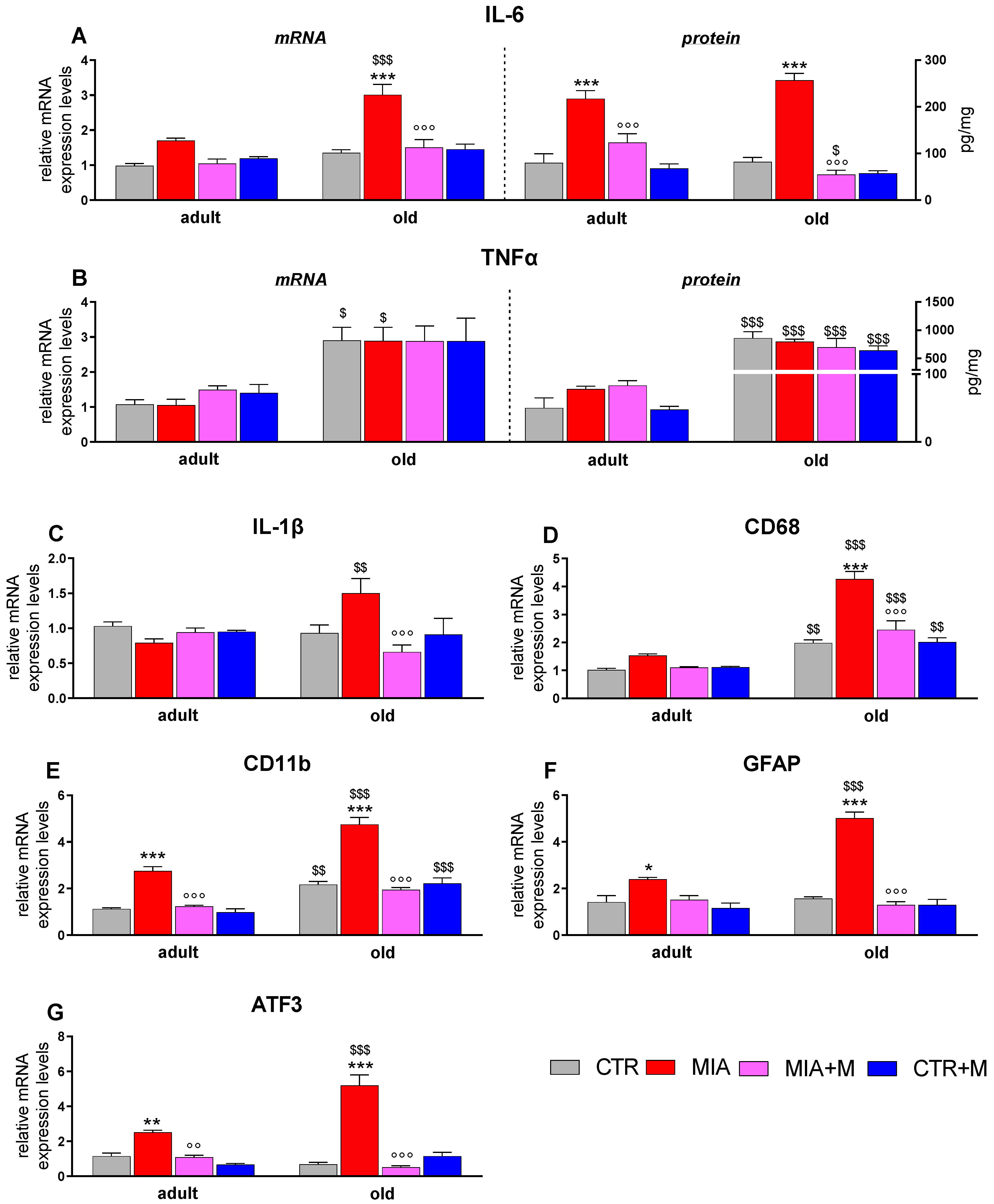 Biomedicines 10 02847 g006
