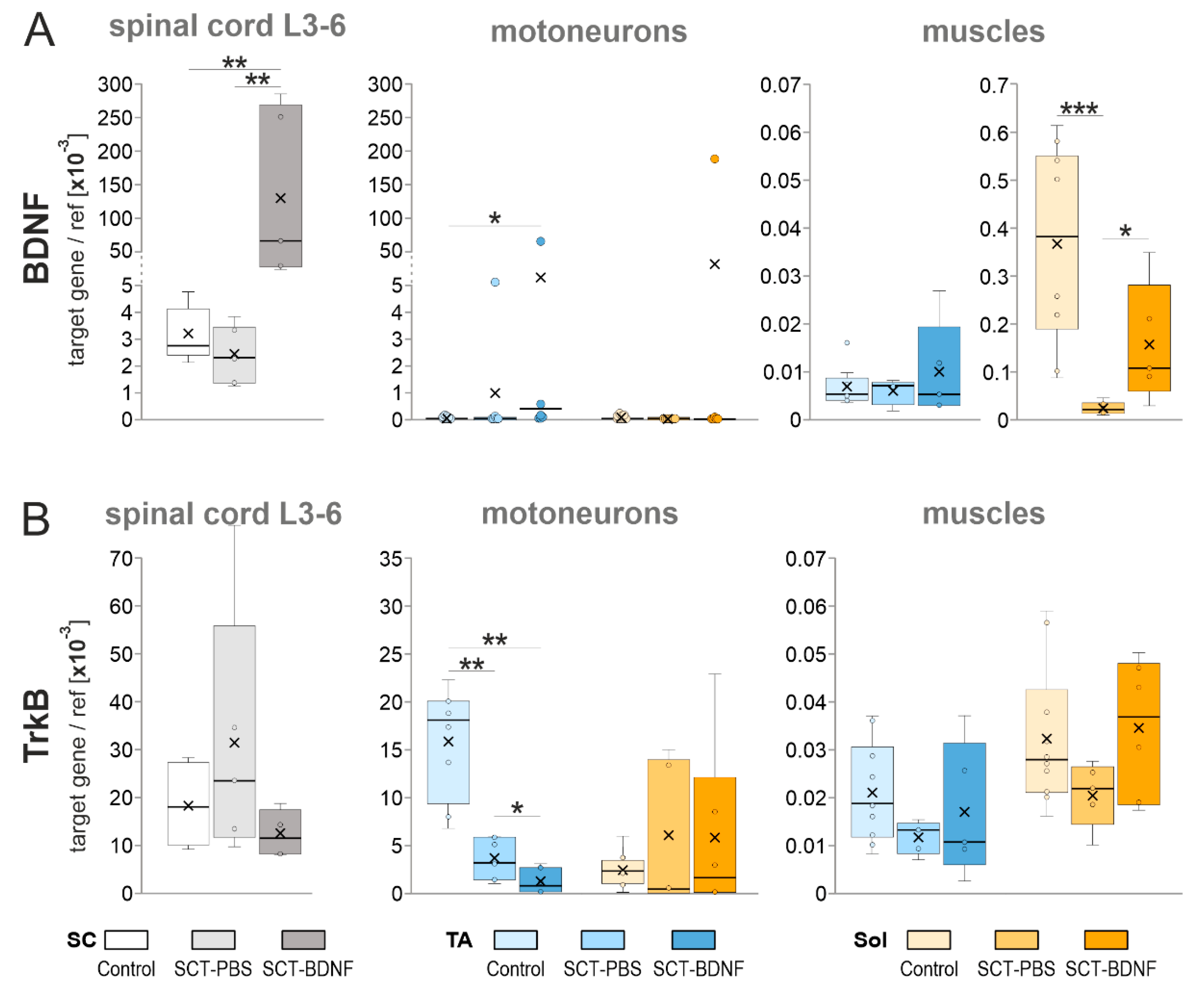 Biomedicines 10 02851 g002 Biomedicines 10 02851 g002
