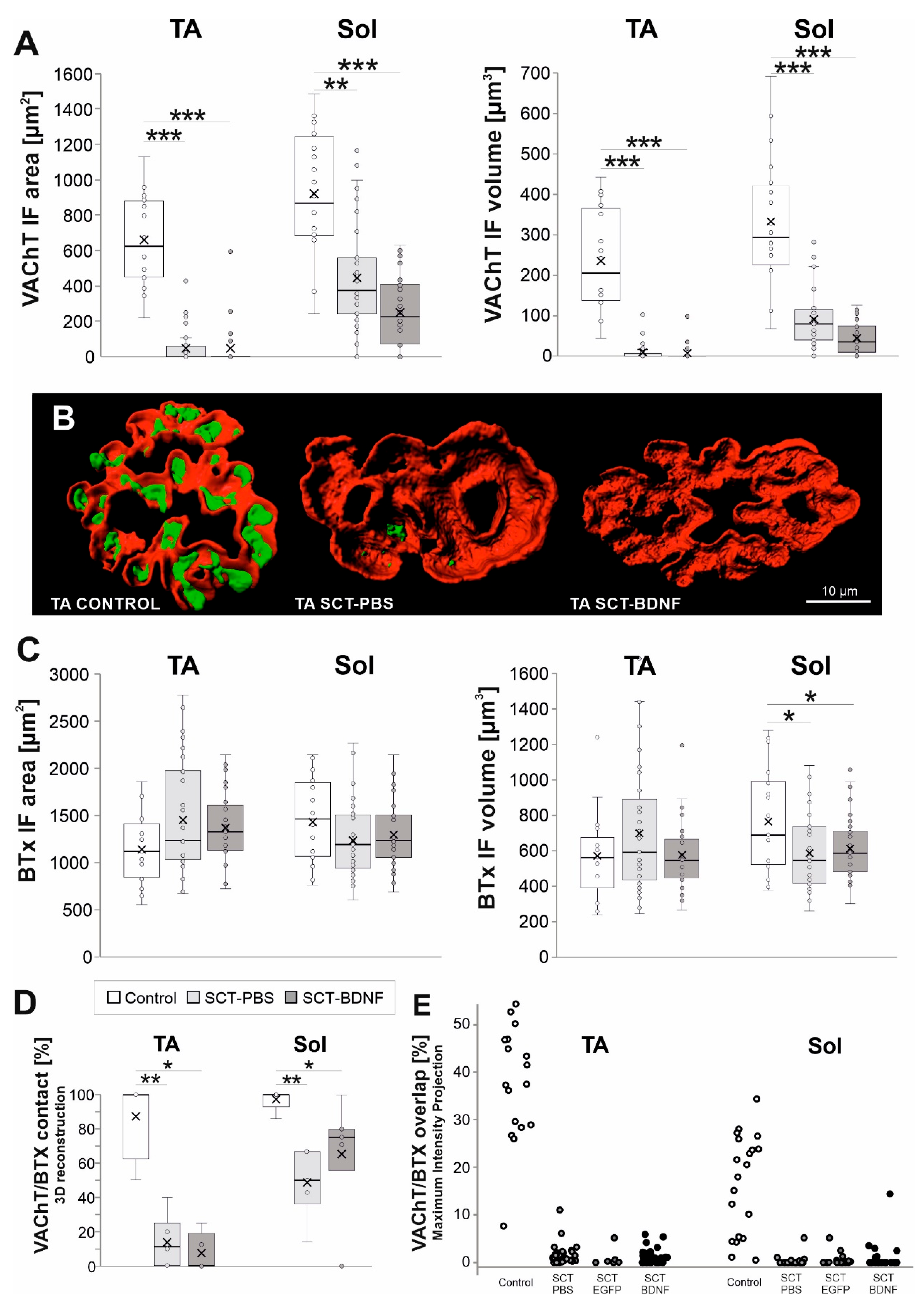 Biomedicines 10 02851 g004 Biomedicines 10 02851 g004