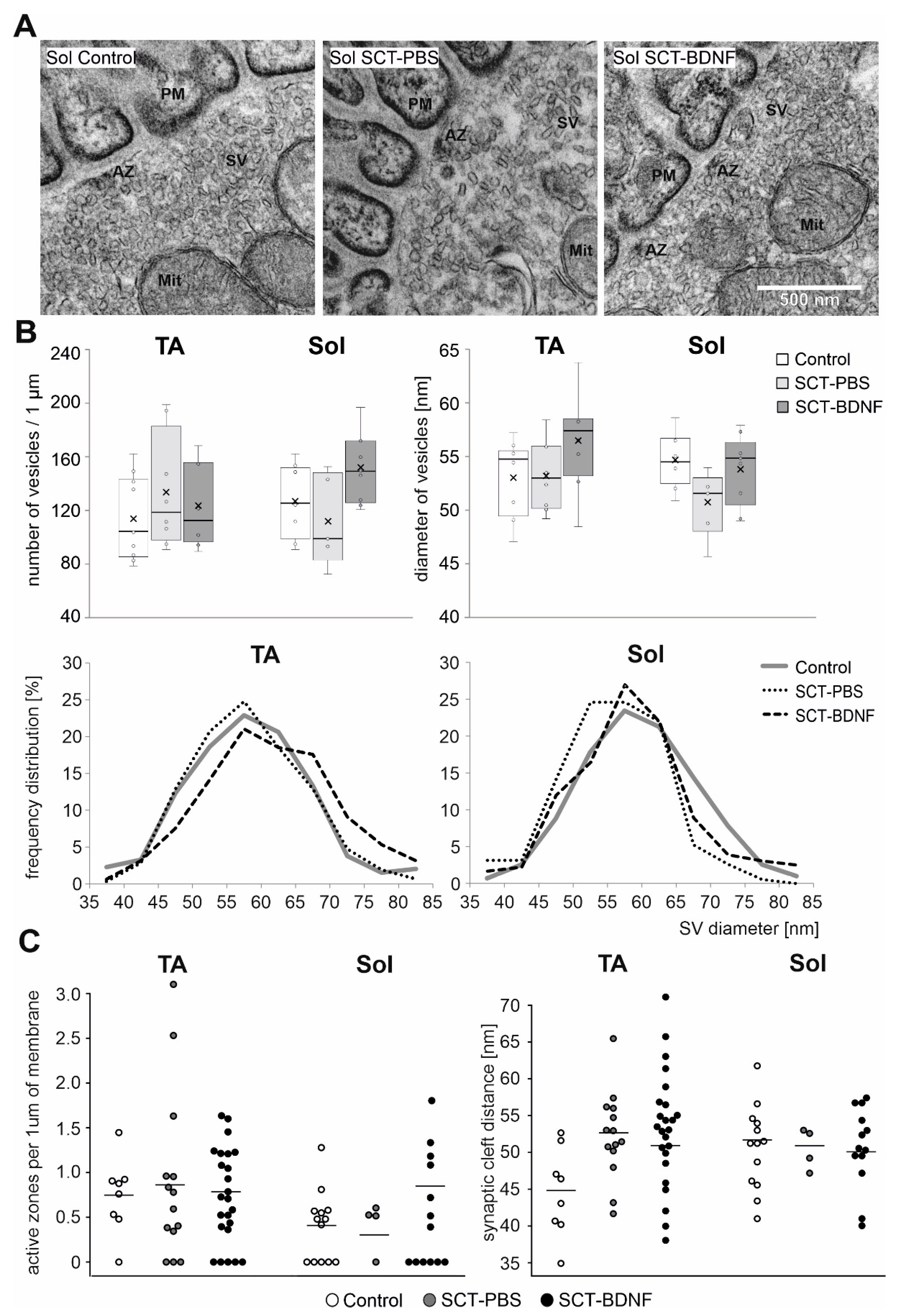 Biomedicines 10 02851 g005 Biomedicines 10 02851 g005