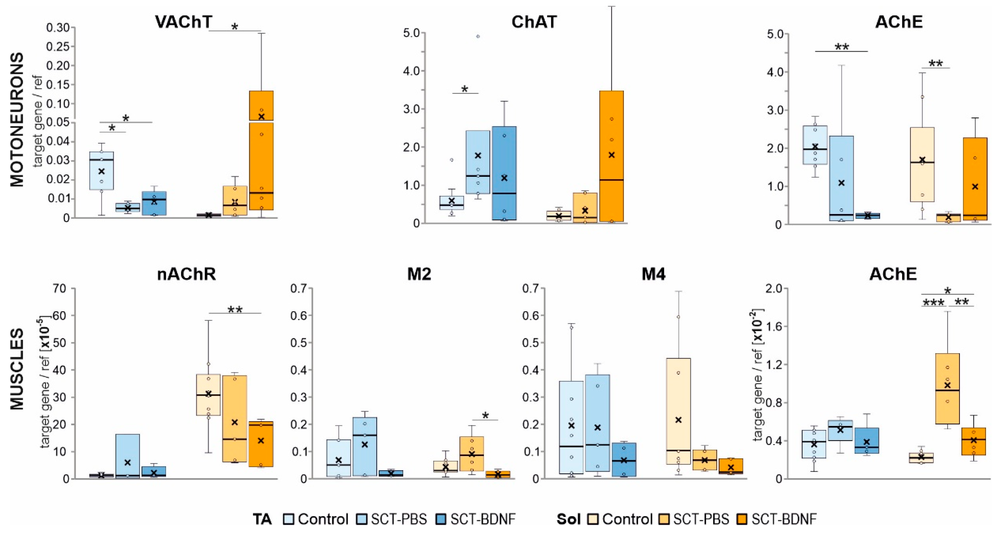 Biomedicines 10 02851 g006 Biomedicines 10 02851 g006