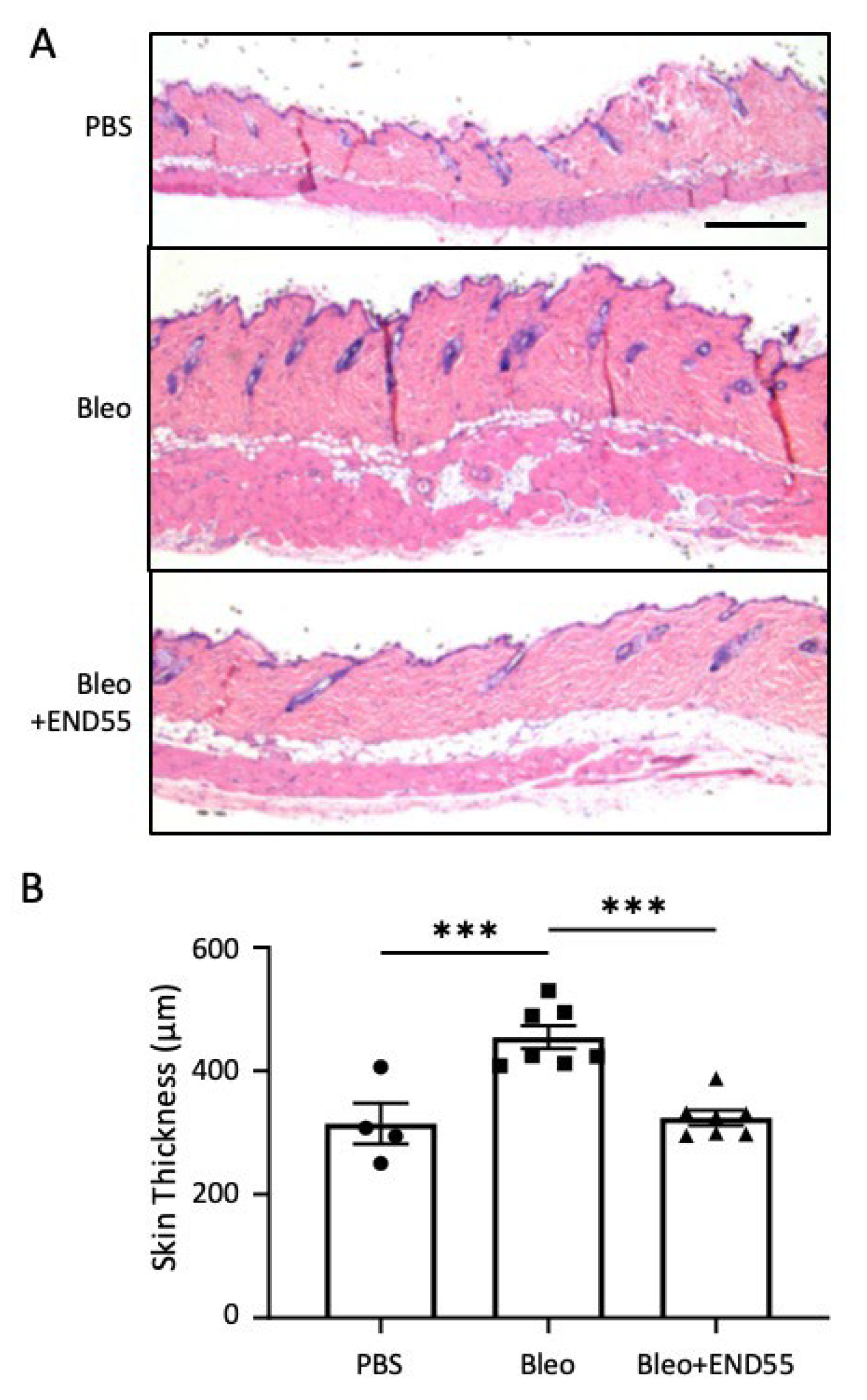 Biomedicines 10 02861 g004