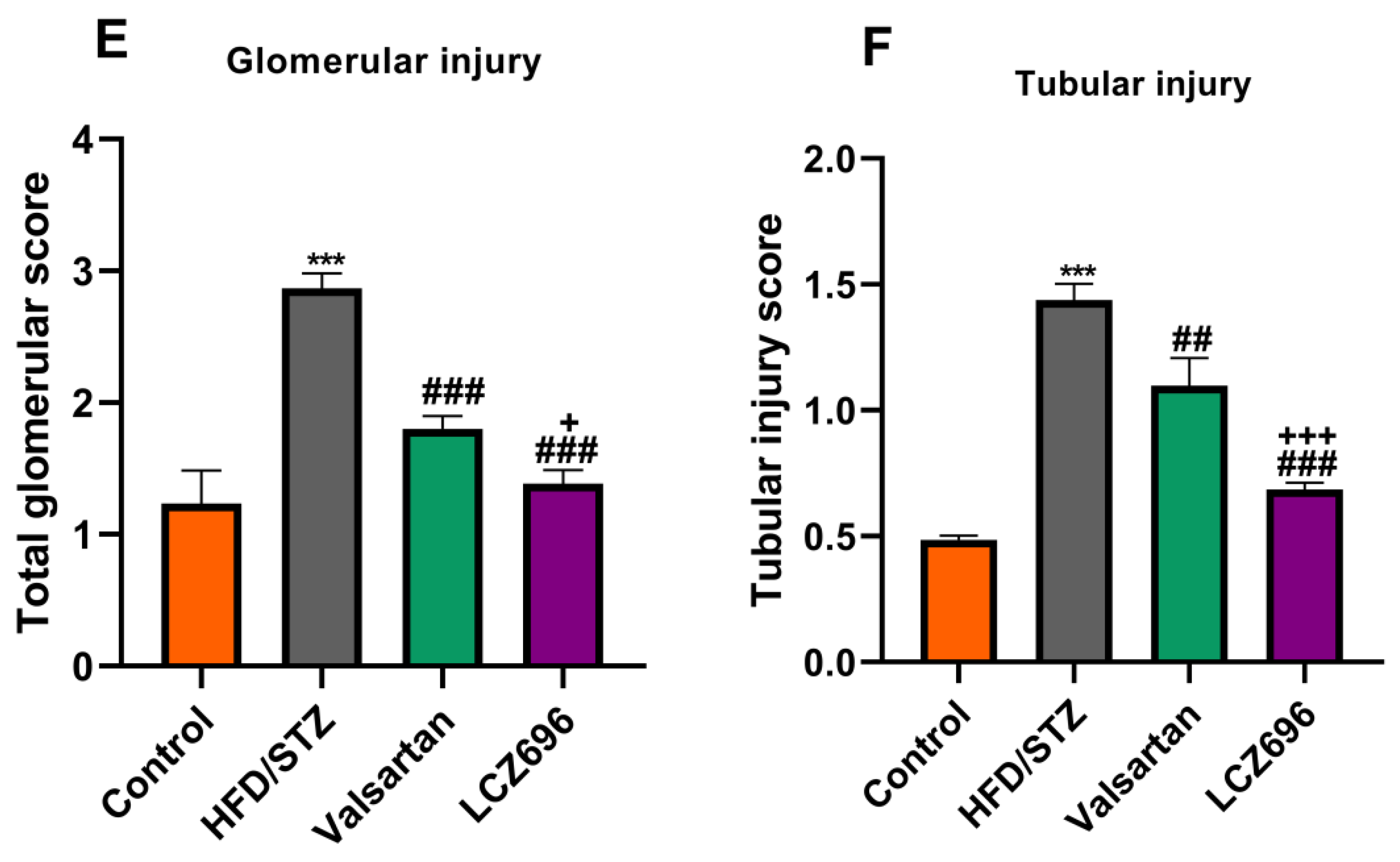 Biomedicines 10 02863 g005b Biomedicines 10 02863 g005b