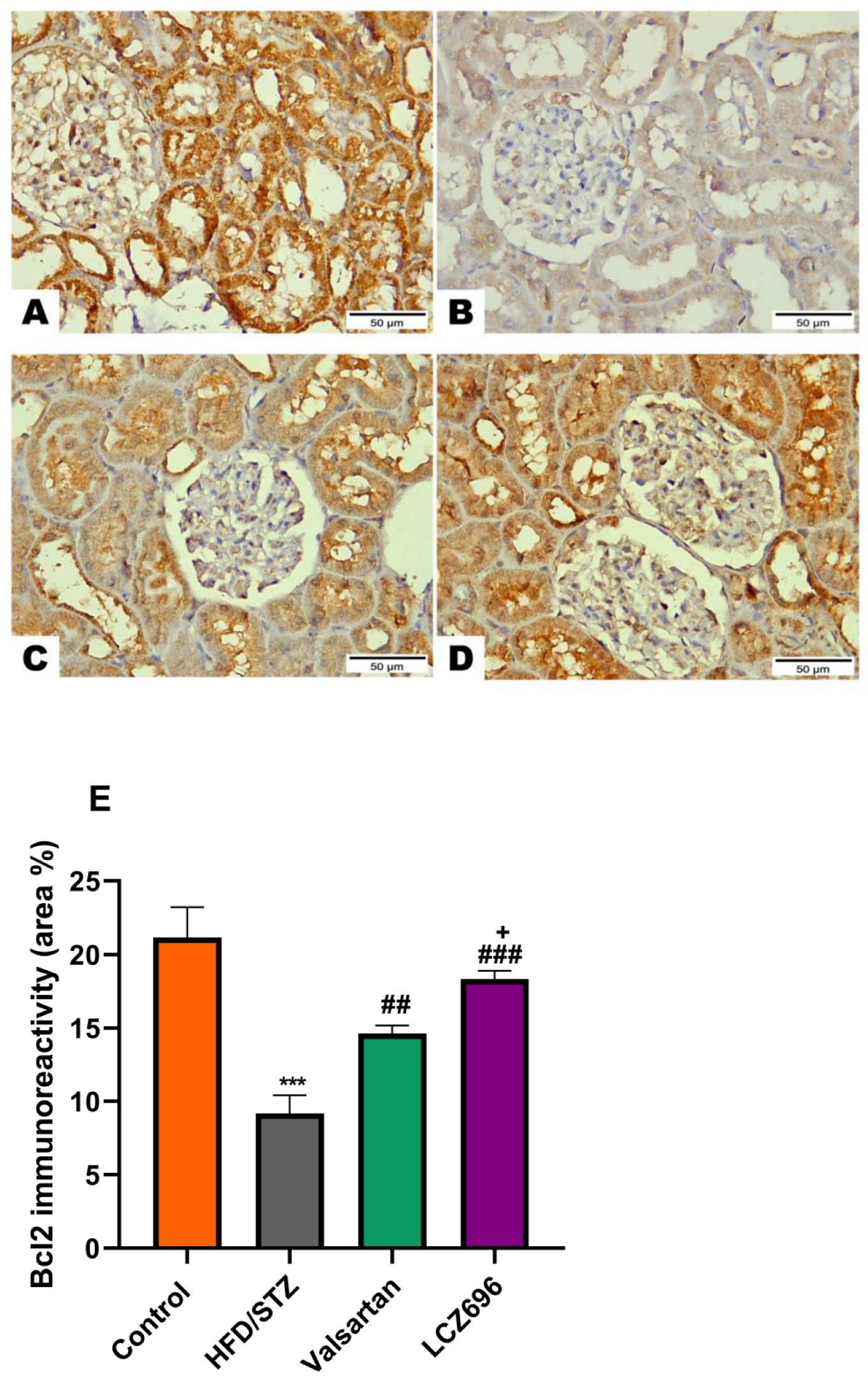 Biomedicines 10 02863 g008 Biomedicines 10 02863 g008