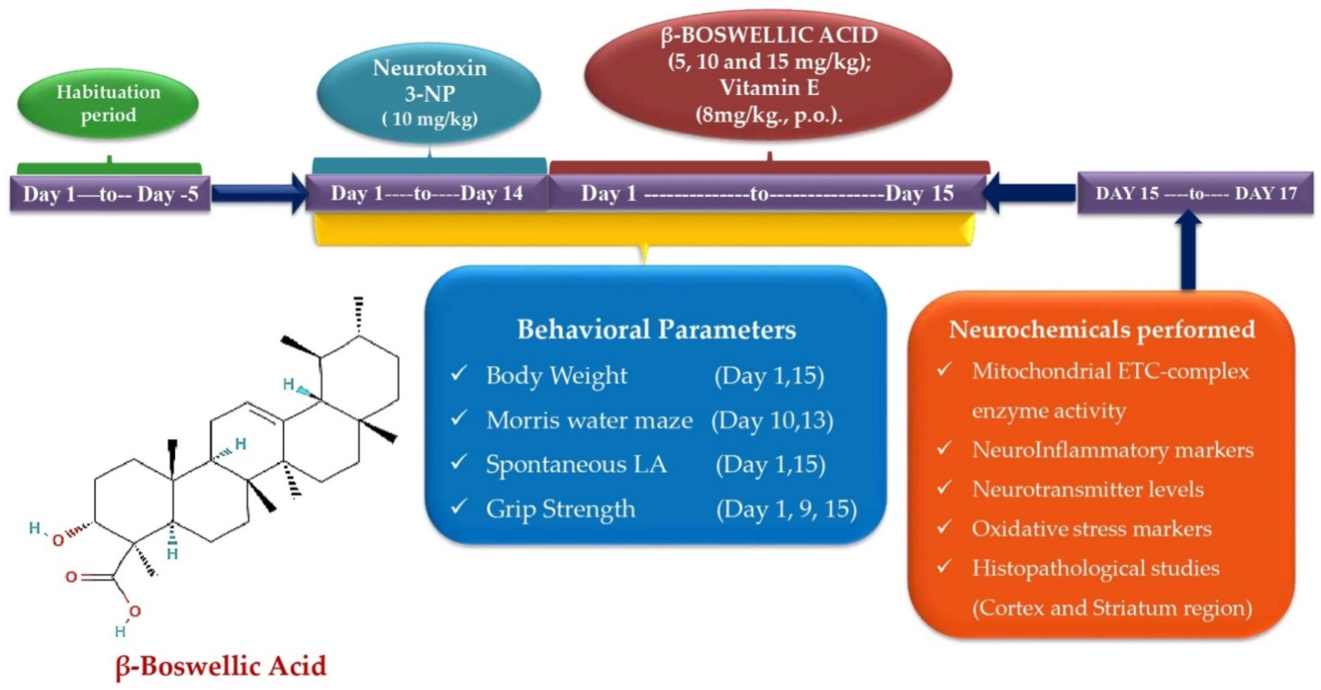 Biomedicines 10 02866 g001 Biomedicines 10 02866 g001