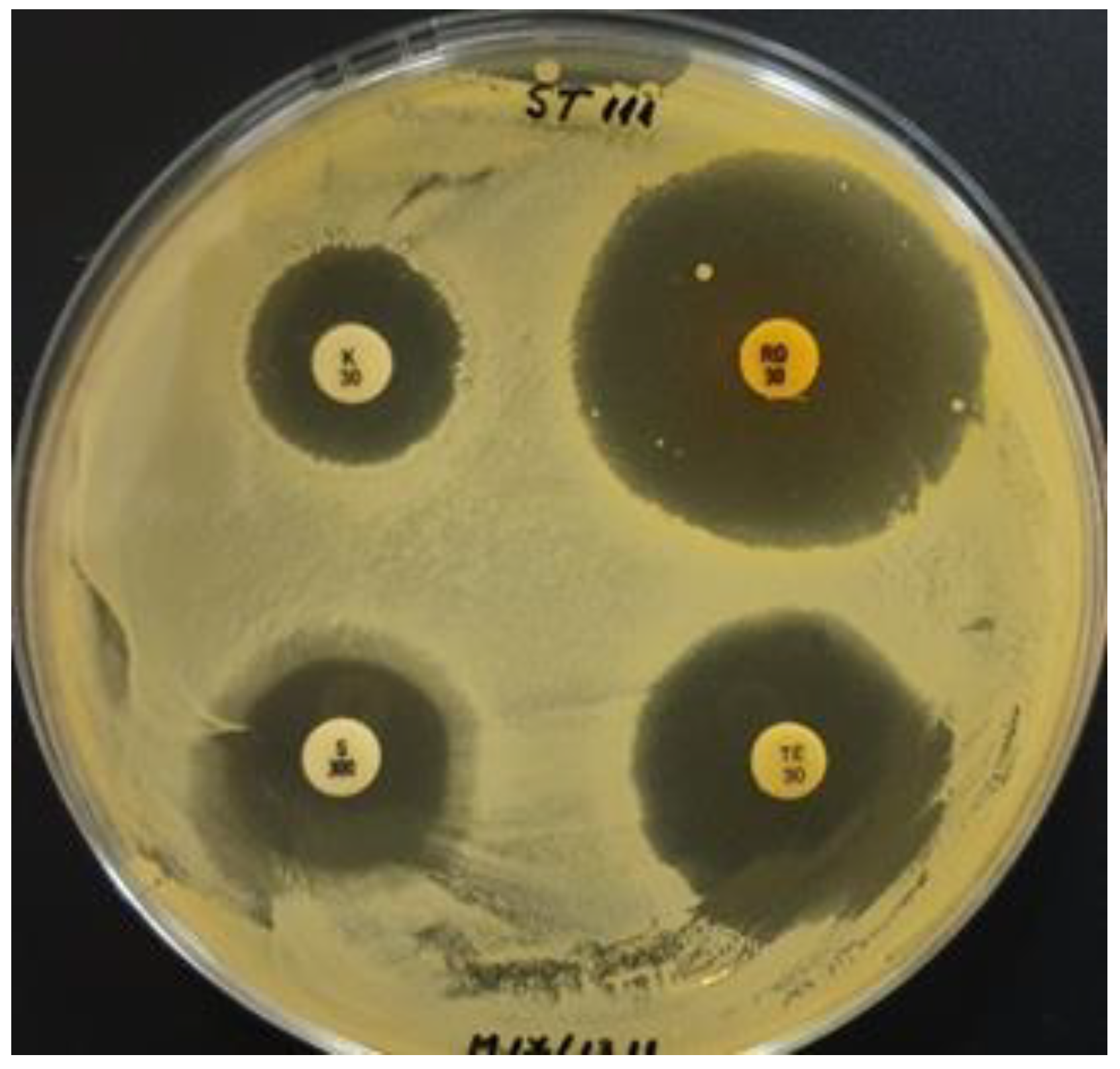 Biomedicines 10 02867 g002 Biomedicines 10 02867 g002