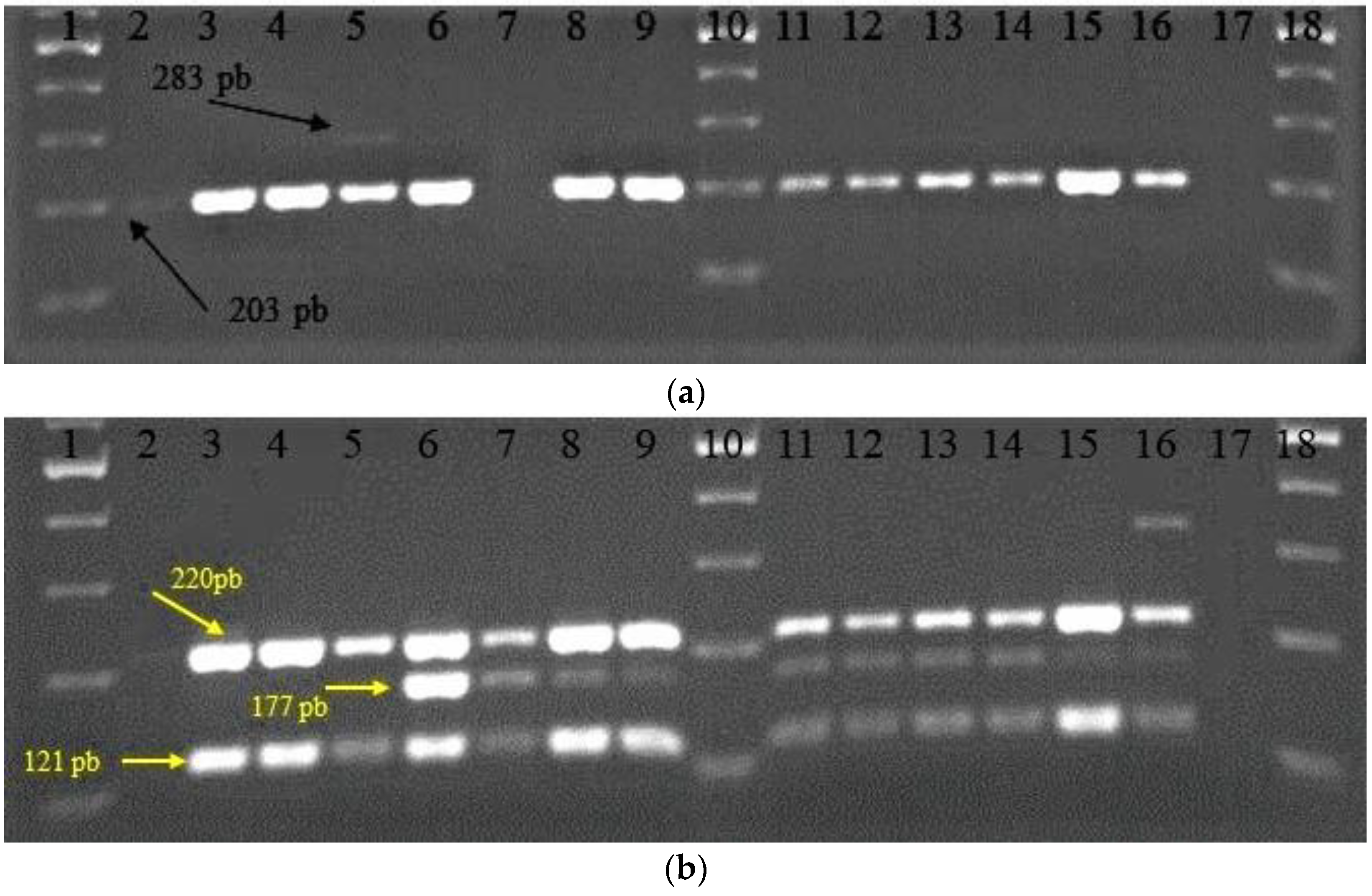 Biomedicines 10 02867 g003 Biomedicines 10 02867 g003