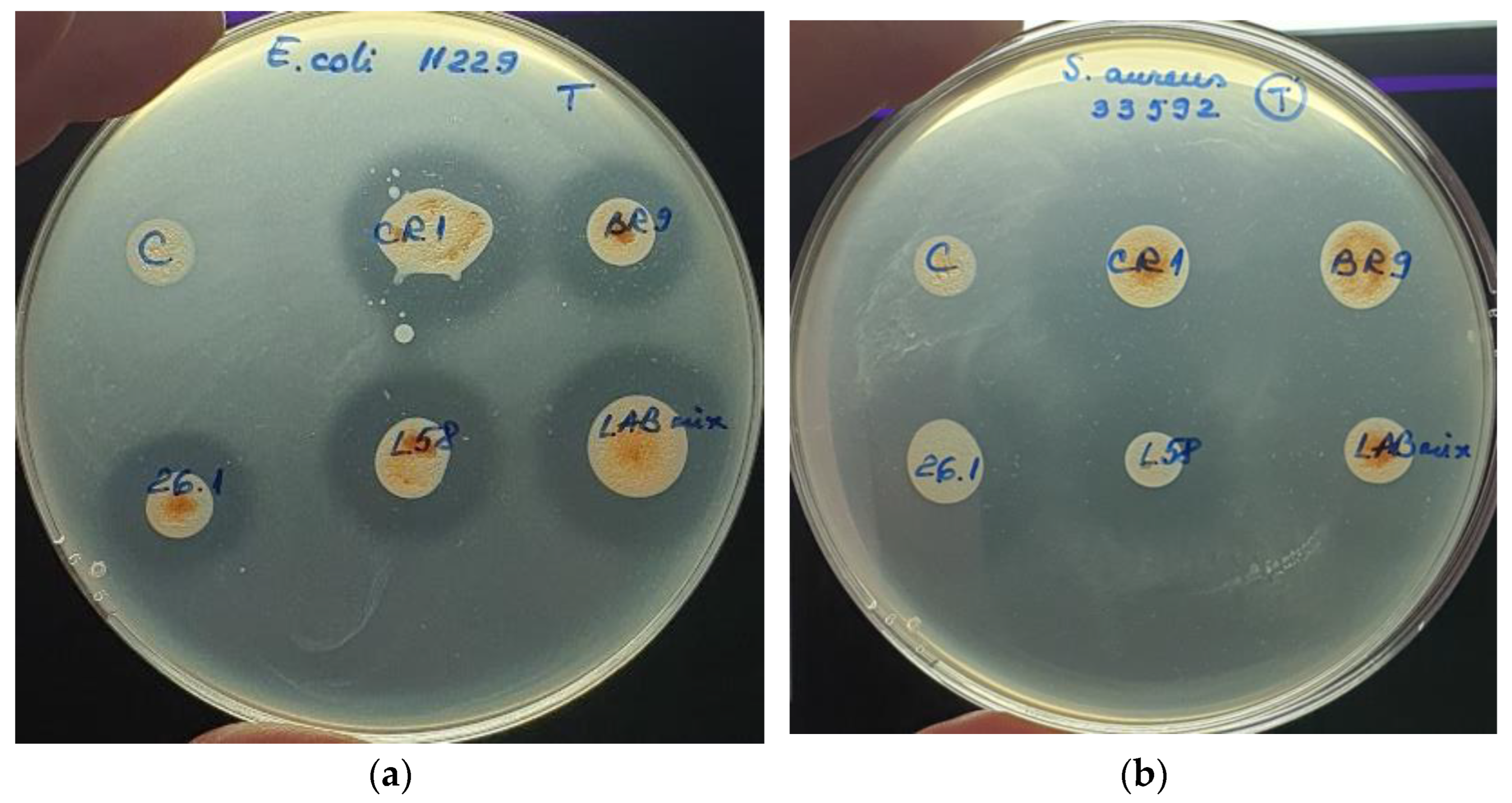 Biomedicines 10 02867 g005 Biomedicines 10 02867 g005