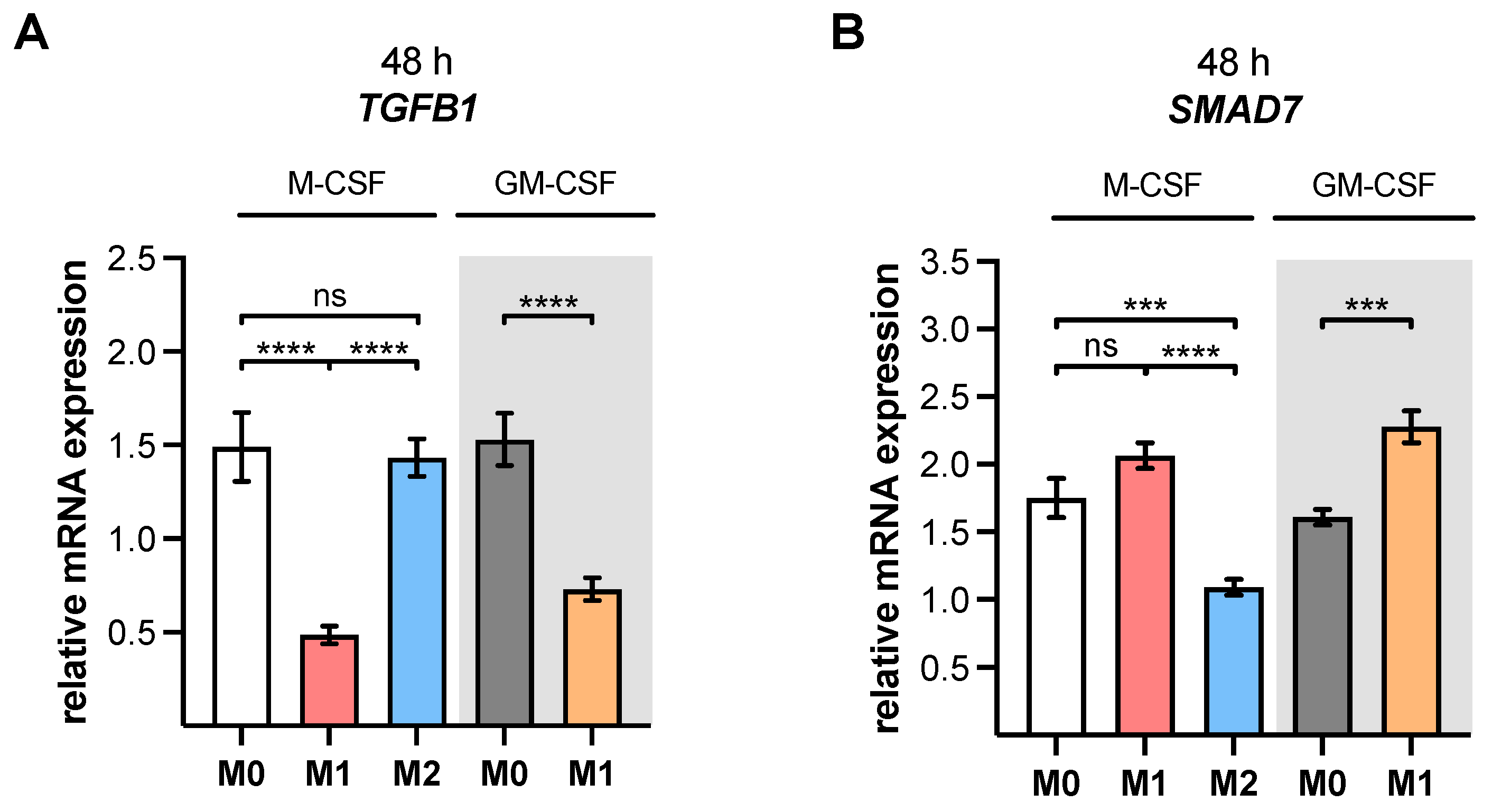 Biomedicines 10 02869 g002