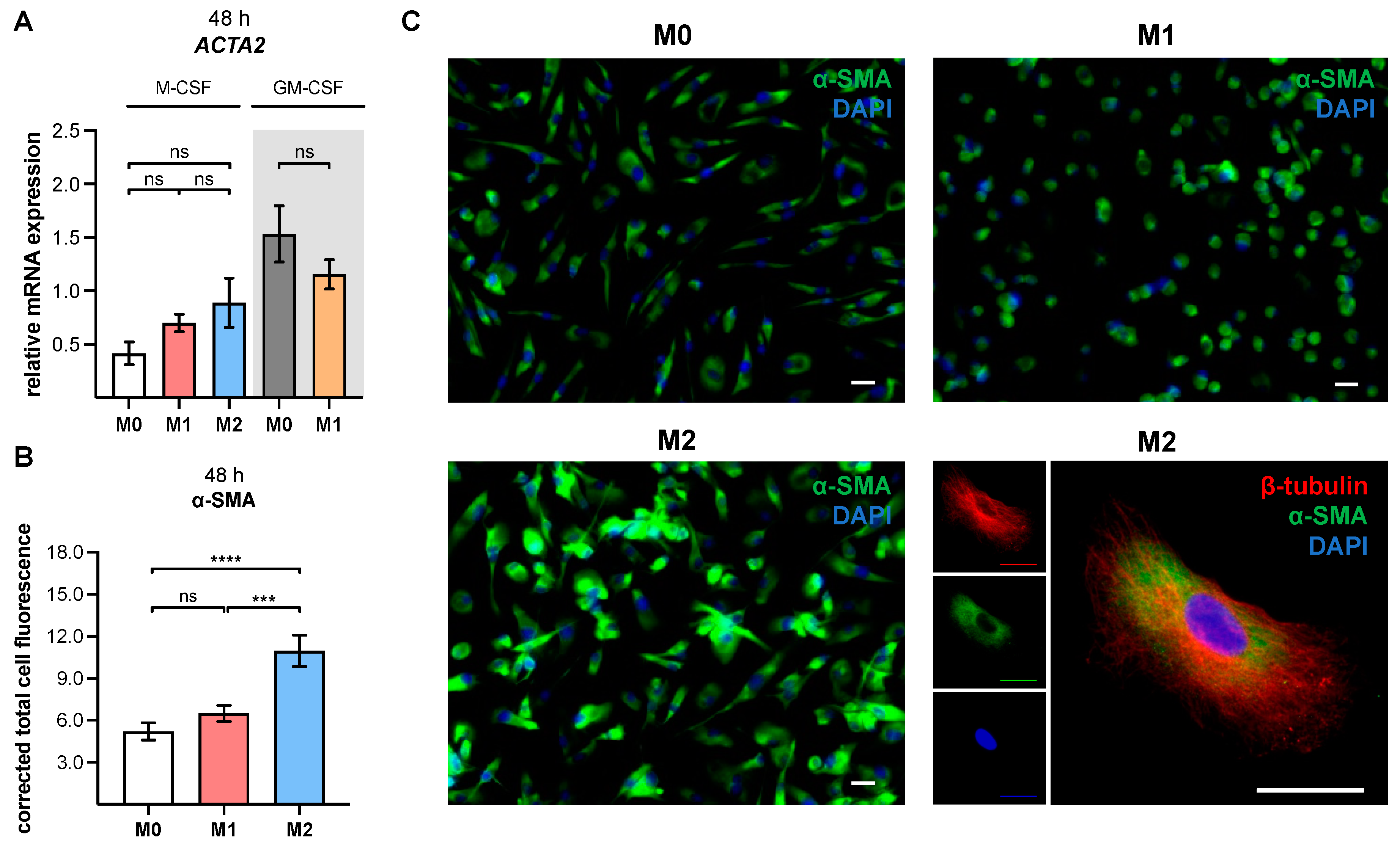 Biomedicines 10 02869 g003