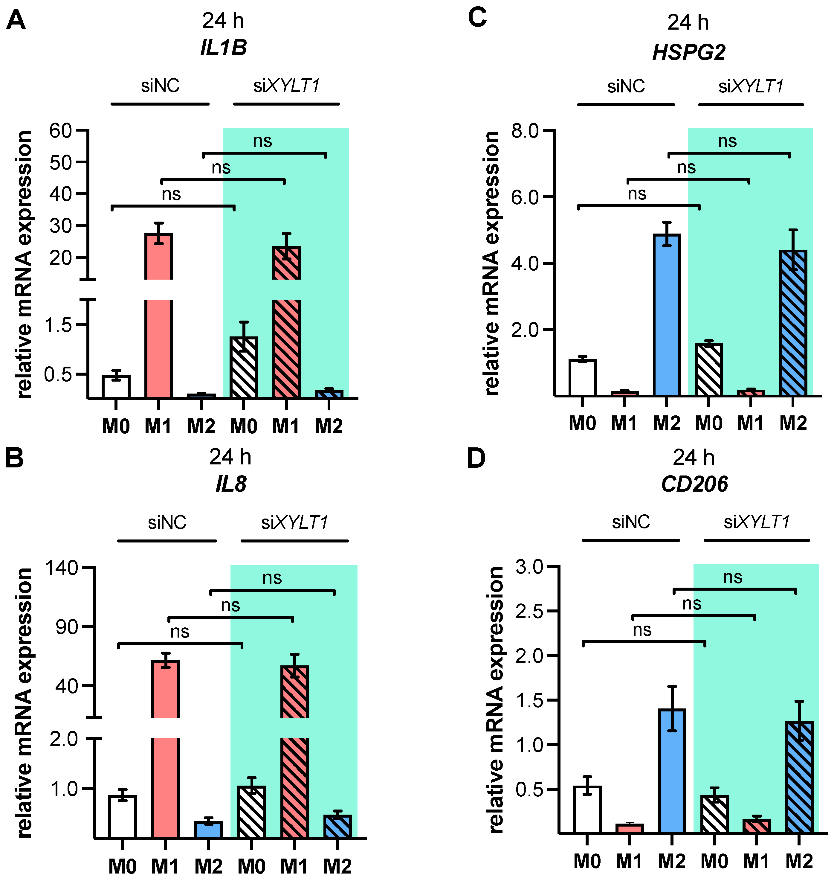 Biomedicines 10 02869 g005