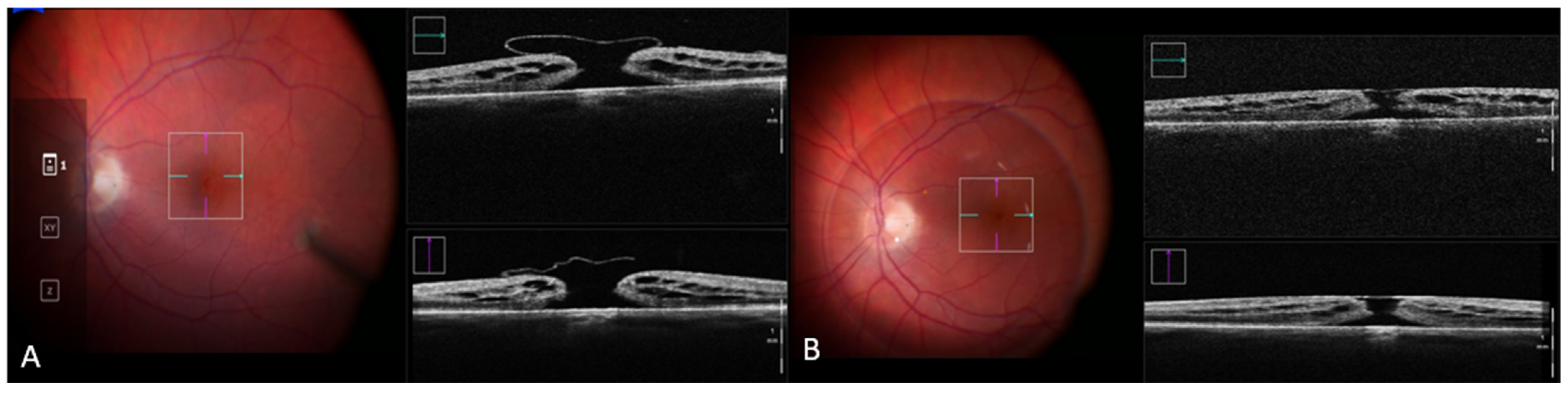 Biomedicines 10 02873 g002