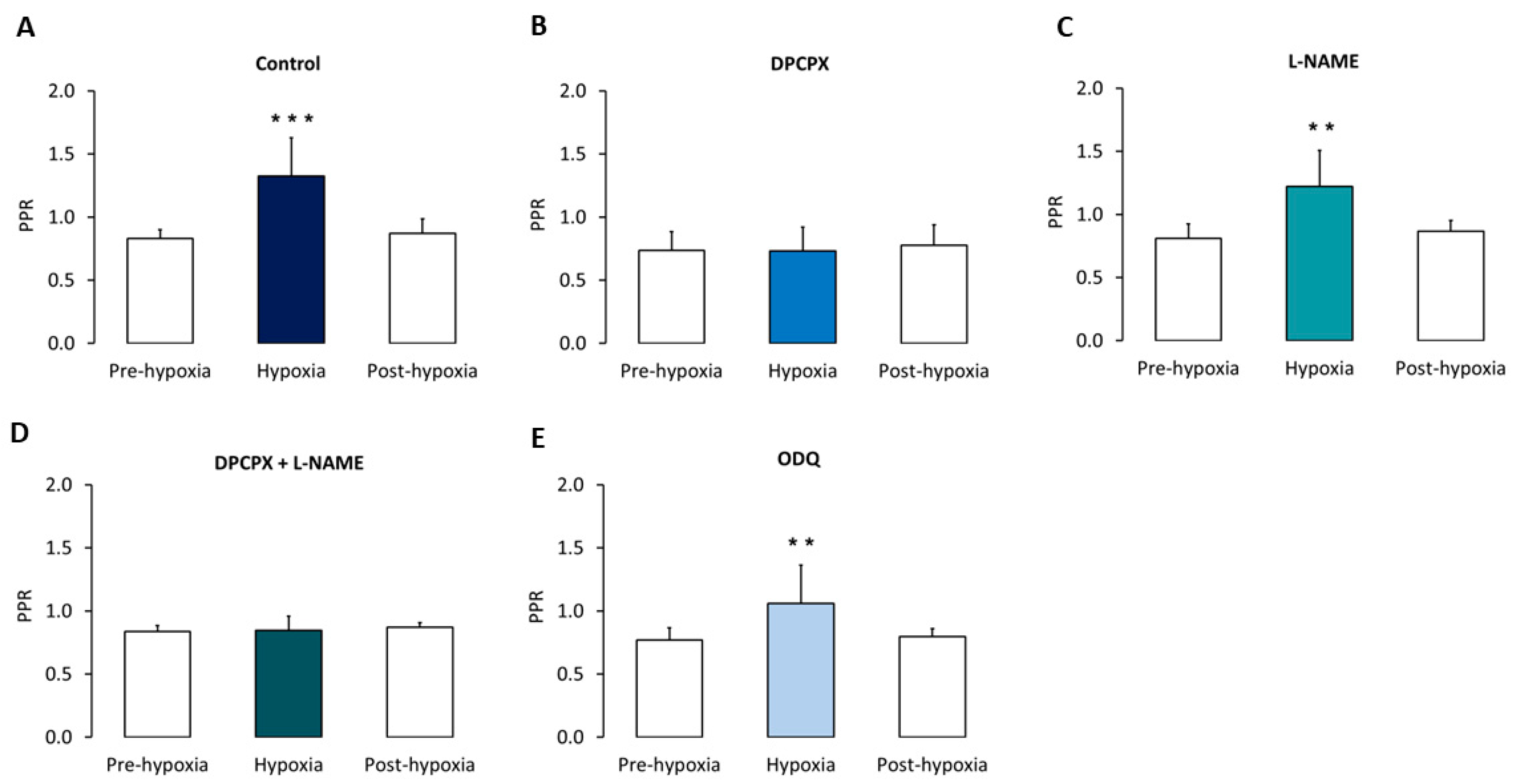 Biomedicines 10 02875 g004