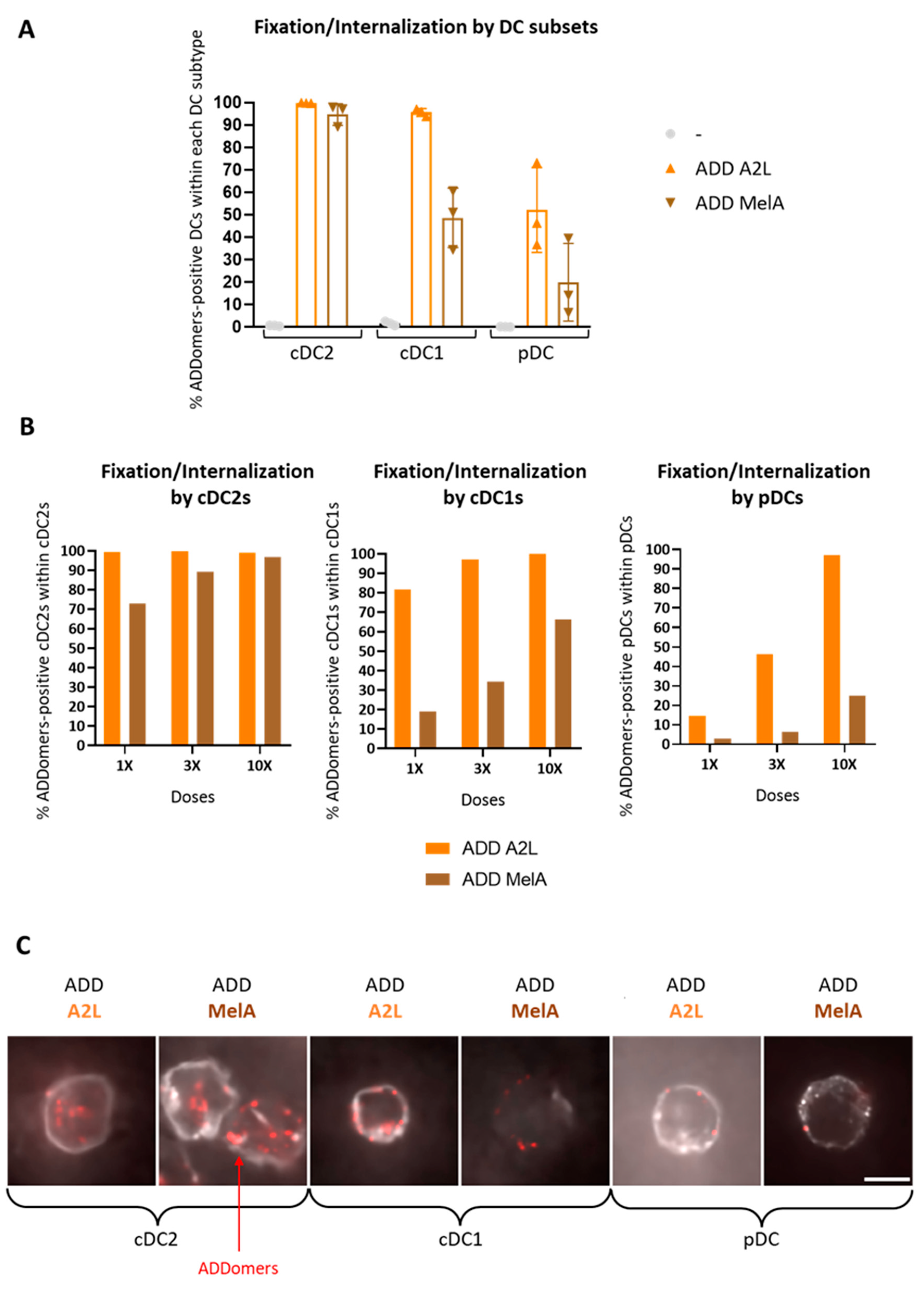 Biomedicines 10 02881 g002 Biomedicines 10 02881 g002