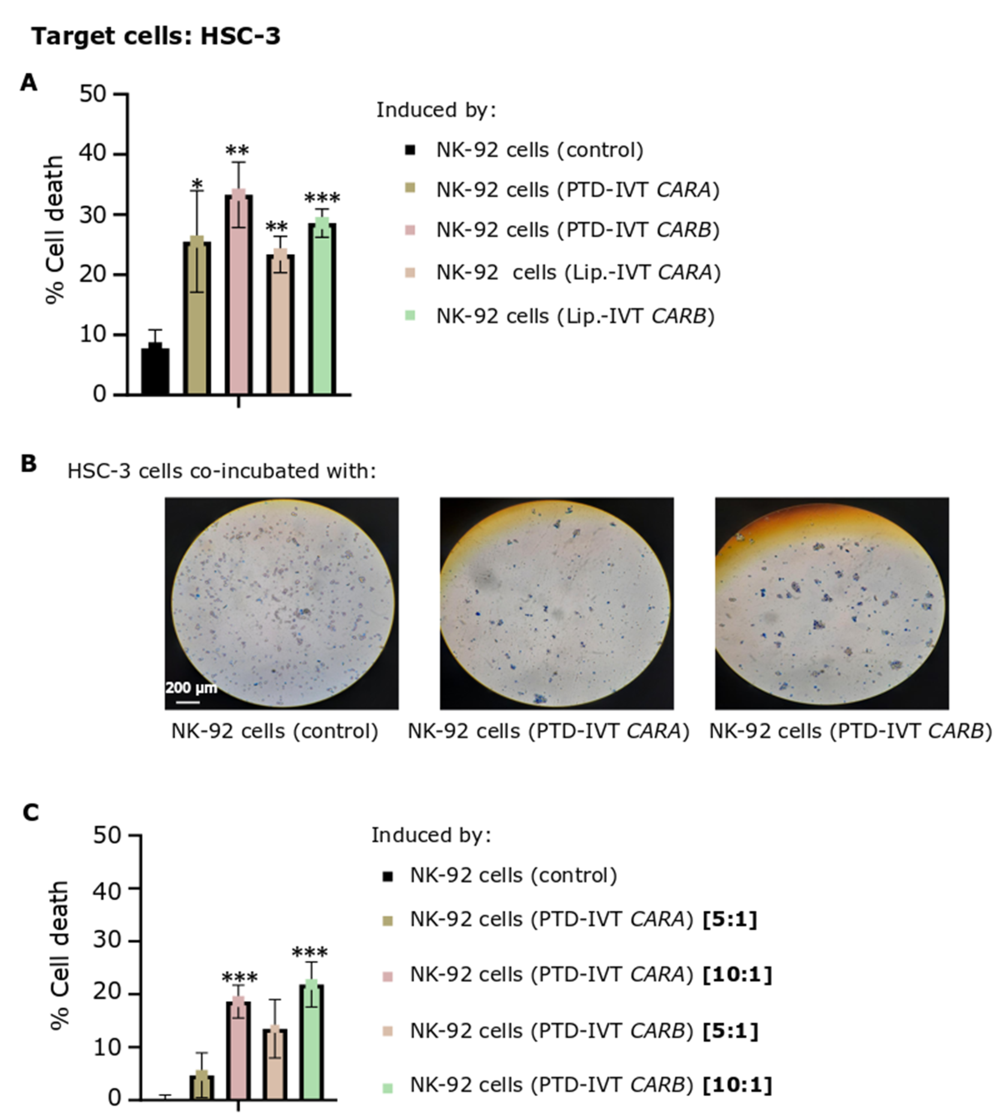 Biomedicines 10 02885 g007