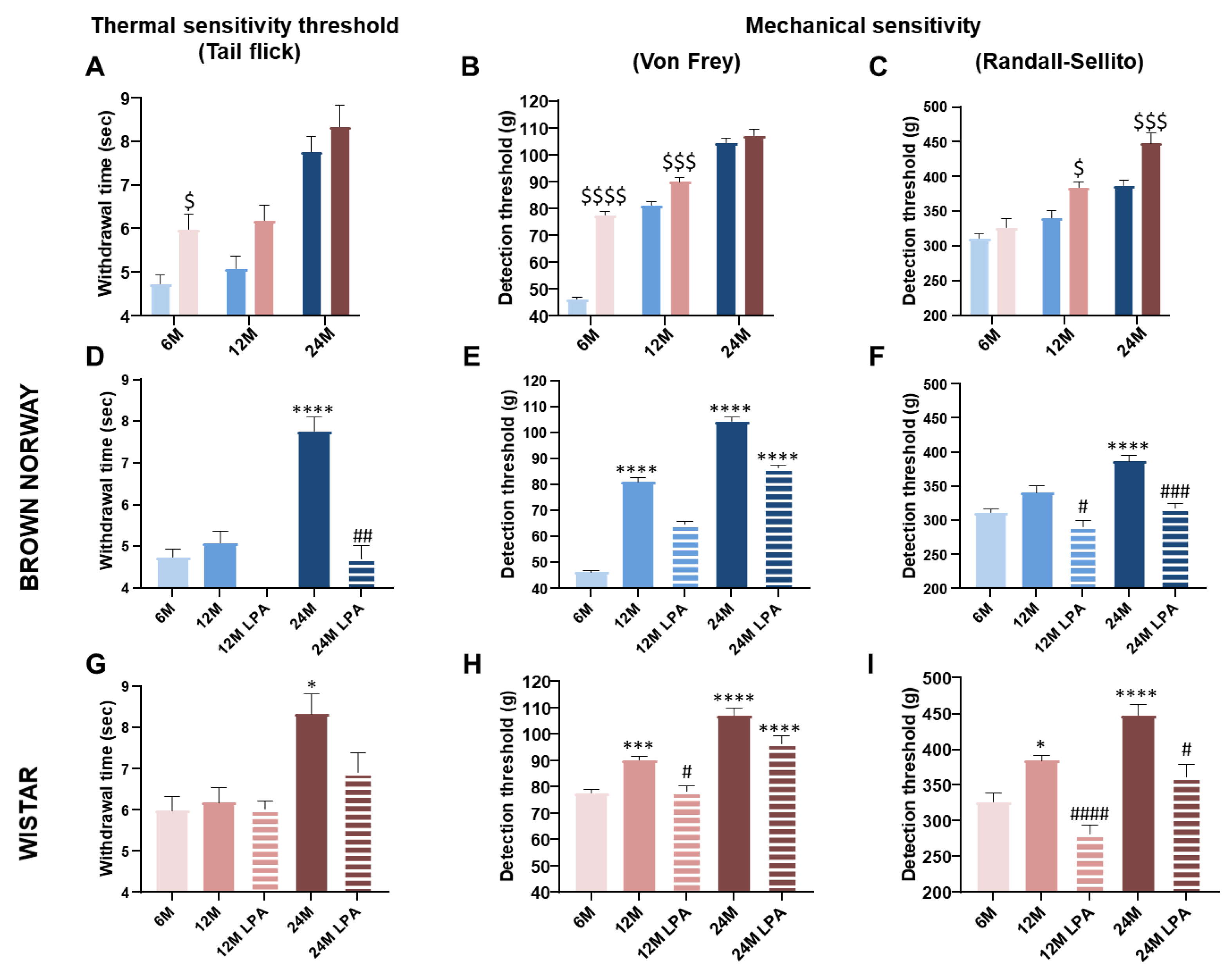 Biomedicines 10 02887 g005